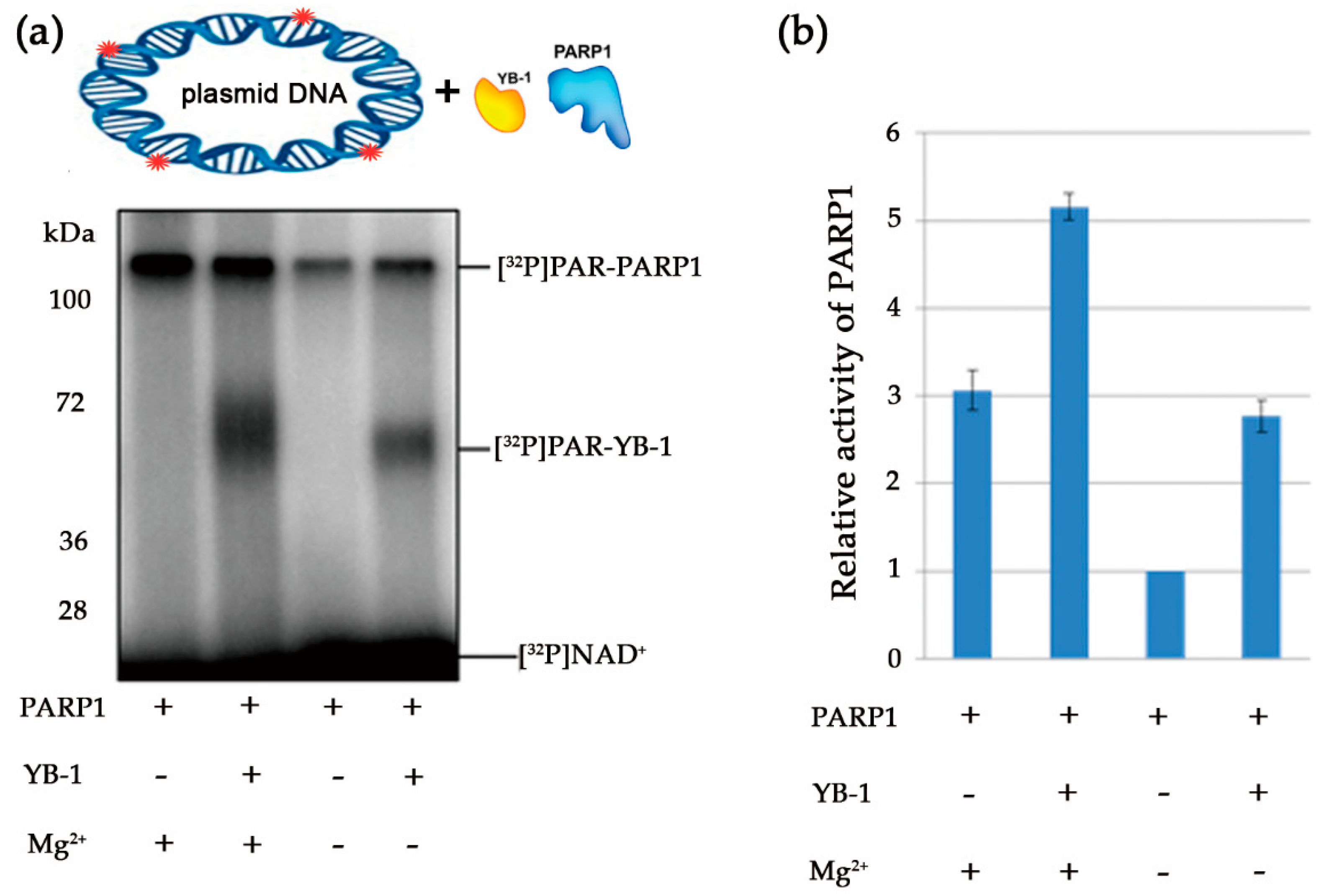 Biomolecules 10 01325 g007