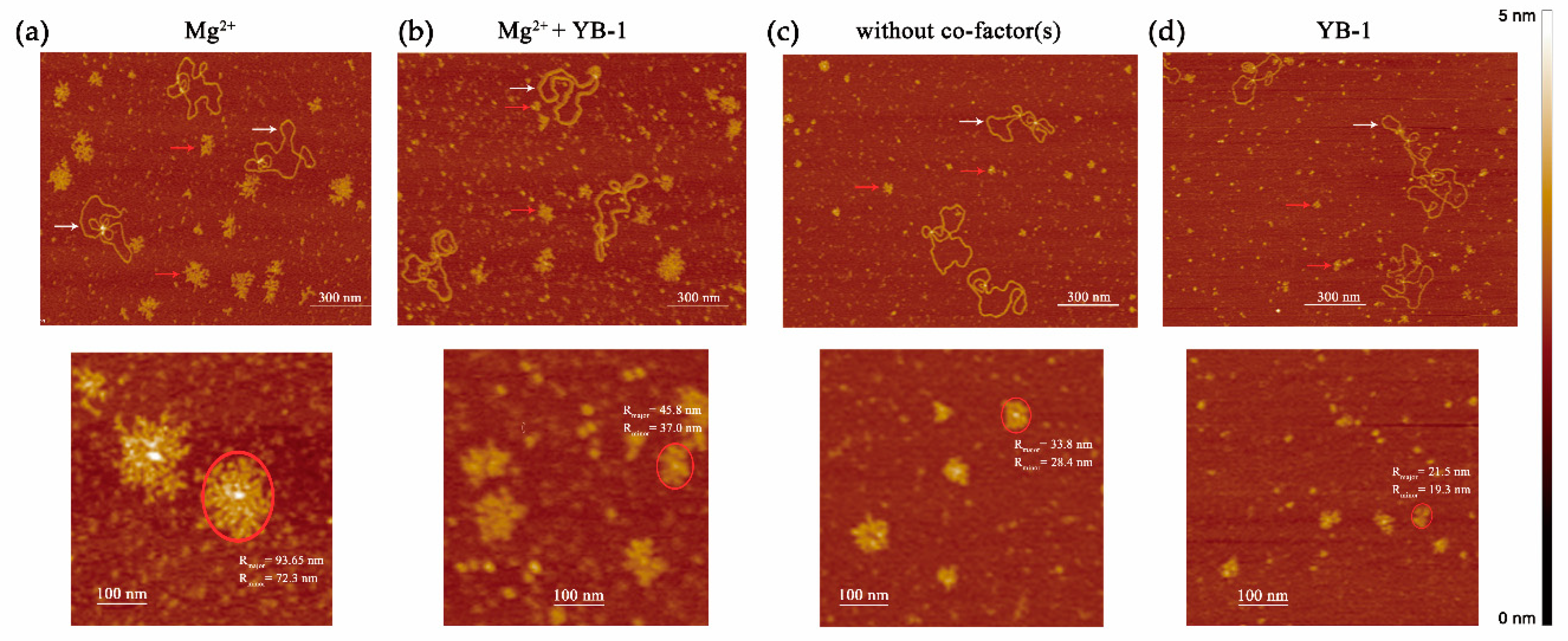Biomolecules 10 01325 g008