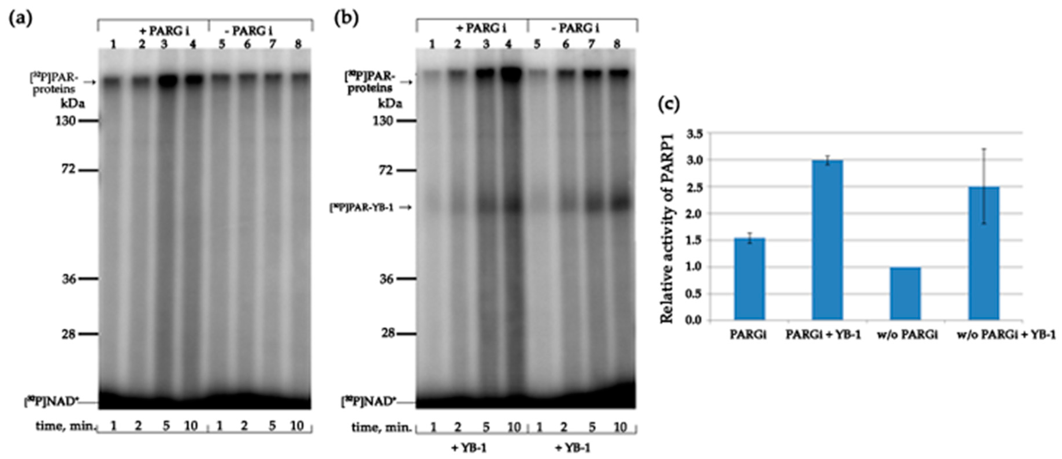 Biomolecules 10 01325 g011