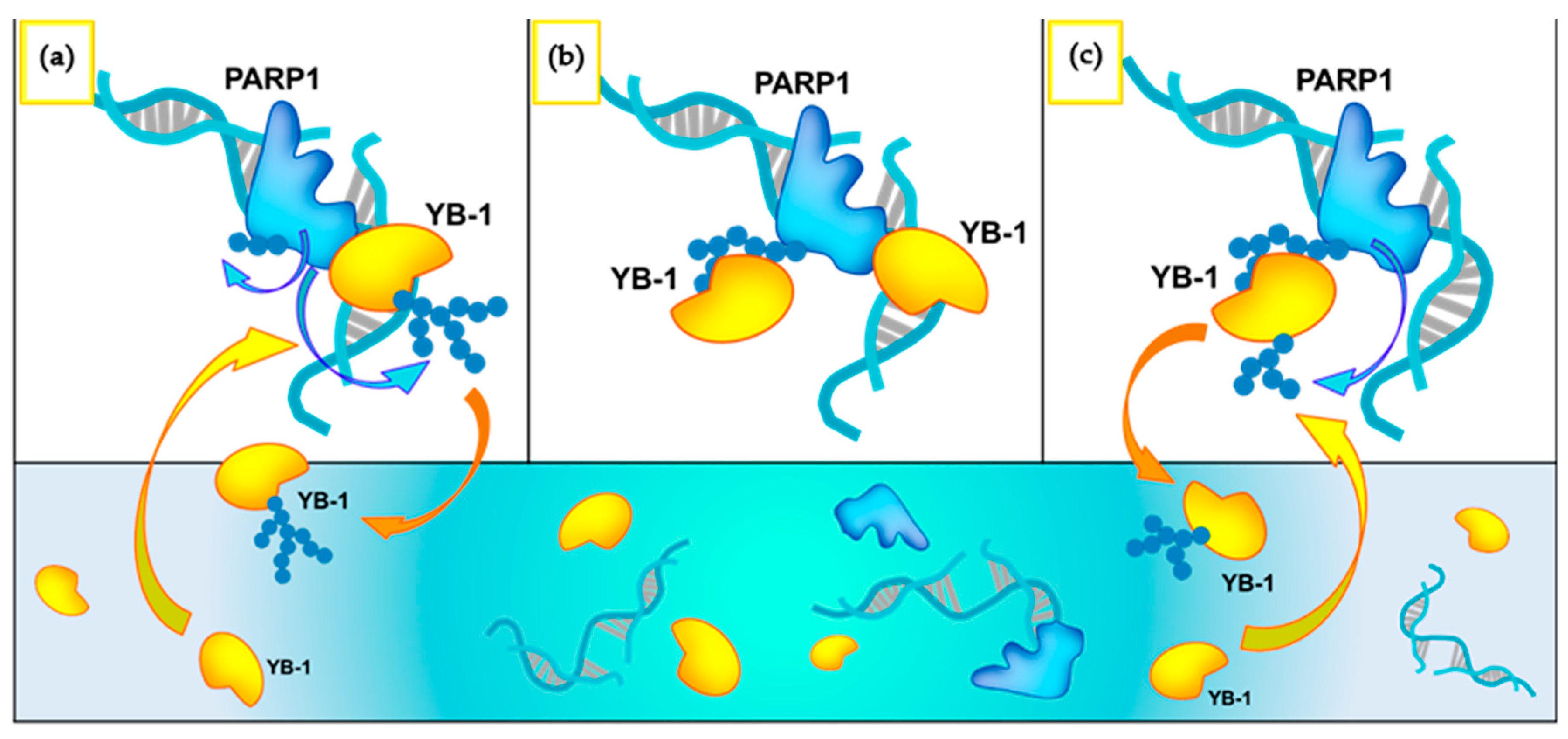 Biomolecules 10 01325 g012