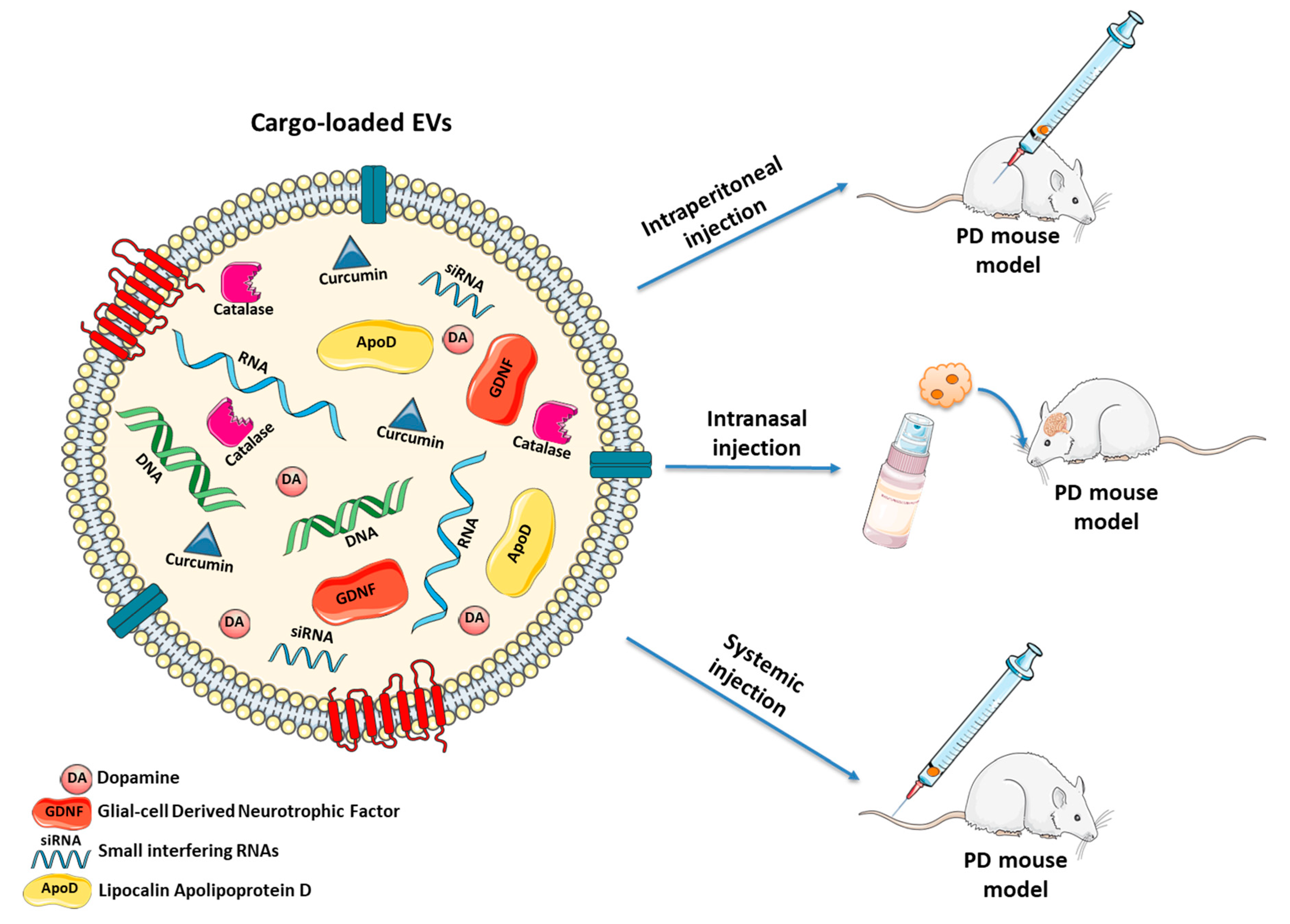 Biomolecules 10 01327 g002