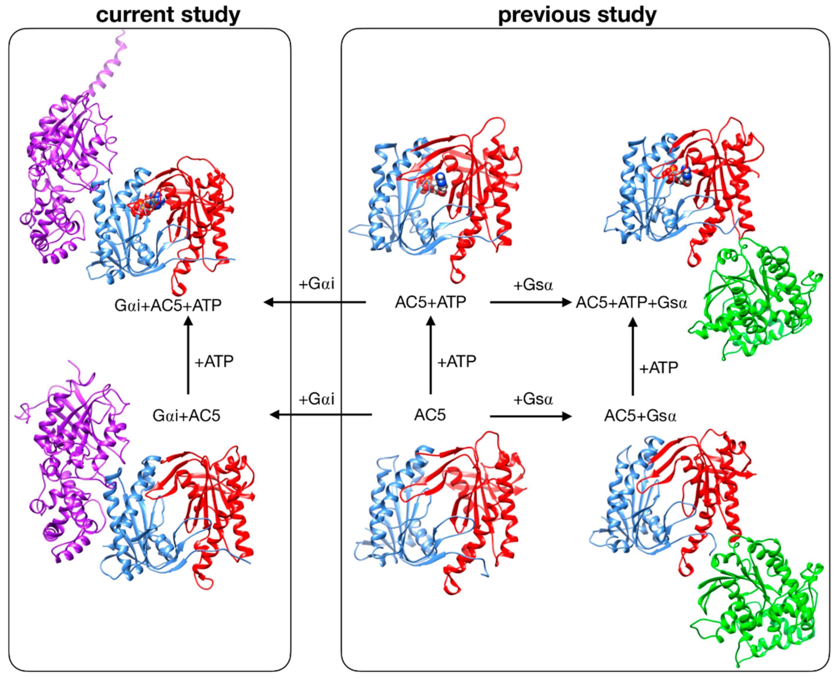 Biomolecules 10 01330 g001
