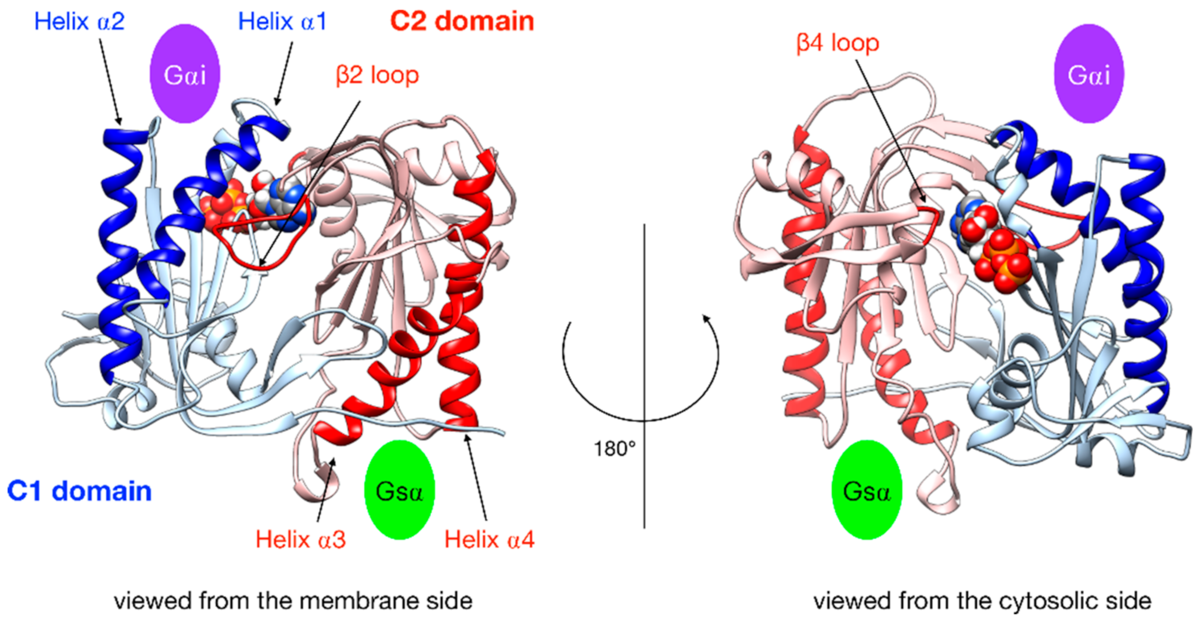 Biomolecules 10 01330 g003