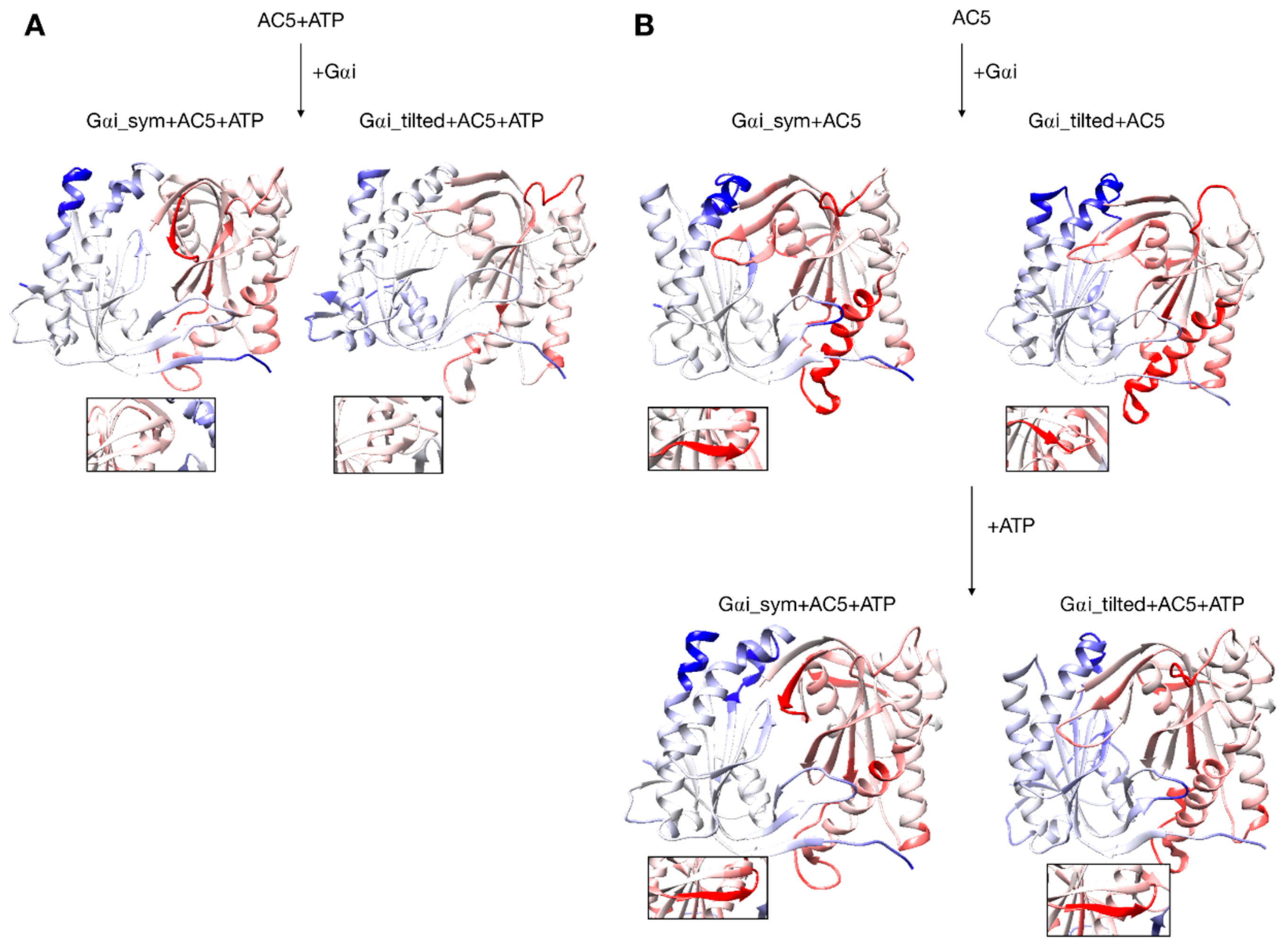 Biomolecules 10 01330 g006