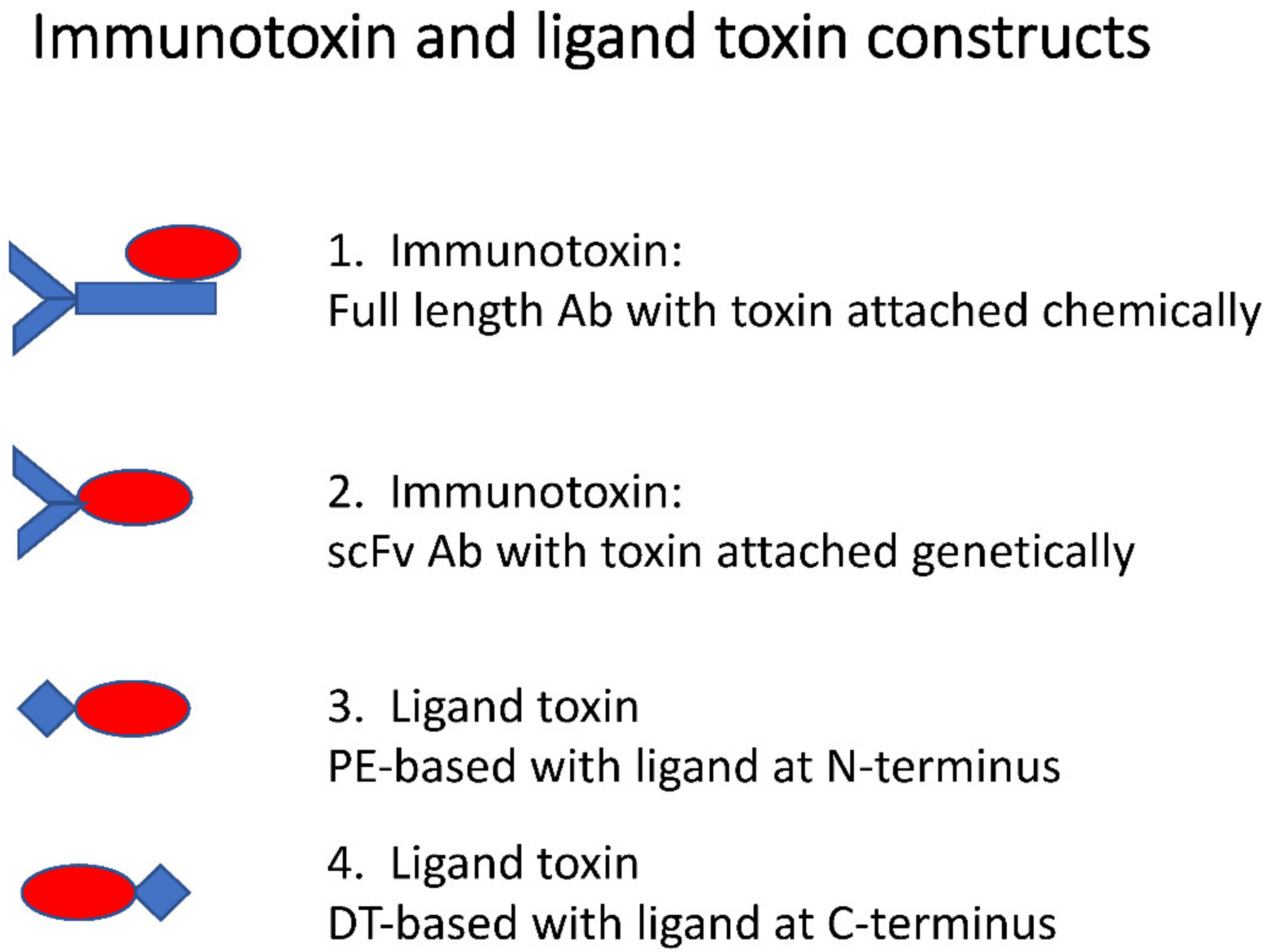 Biomolecules 10 01331 g001