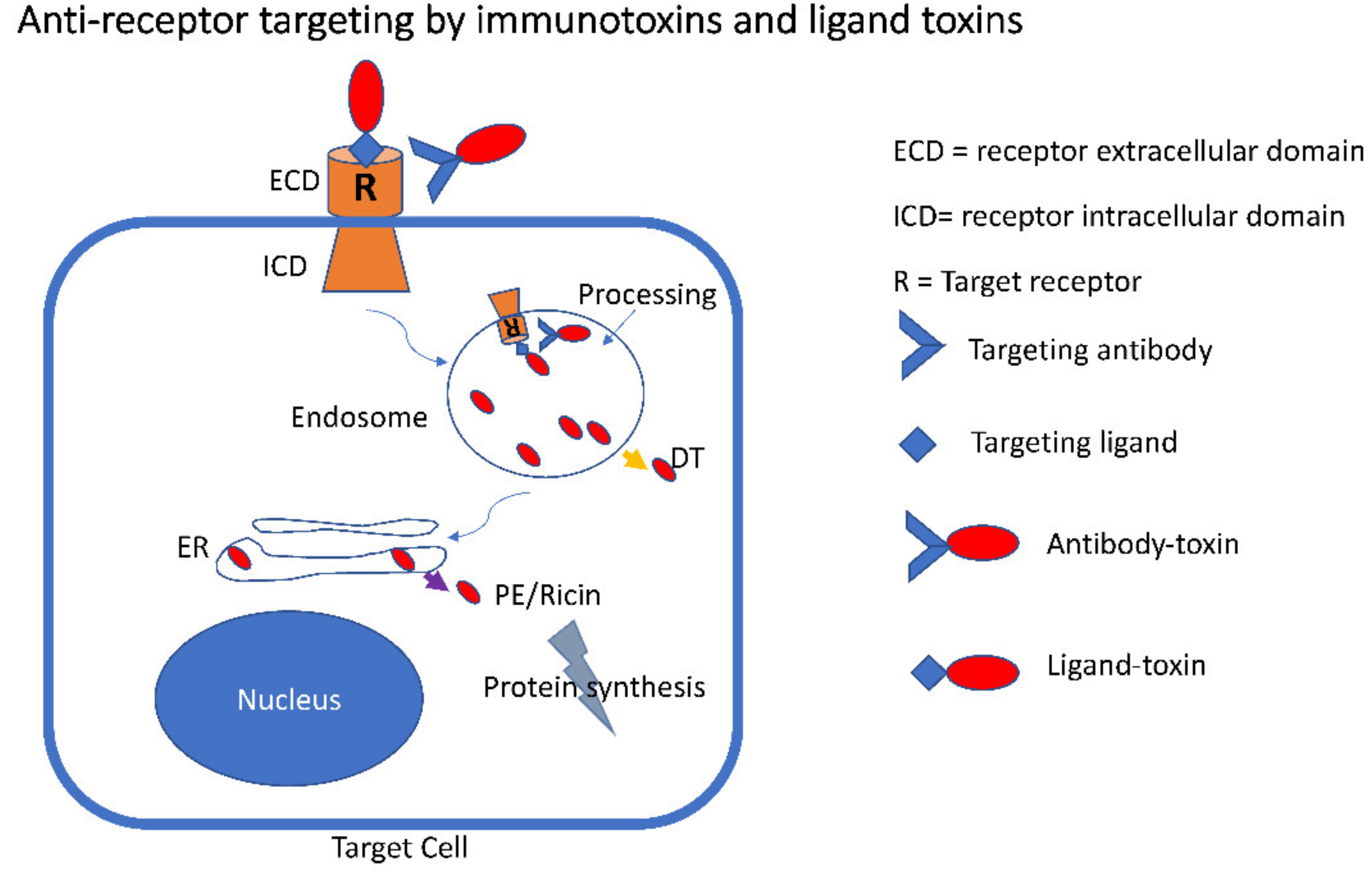 Biomolecules 10 01331 g002
