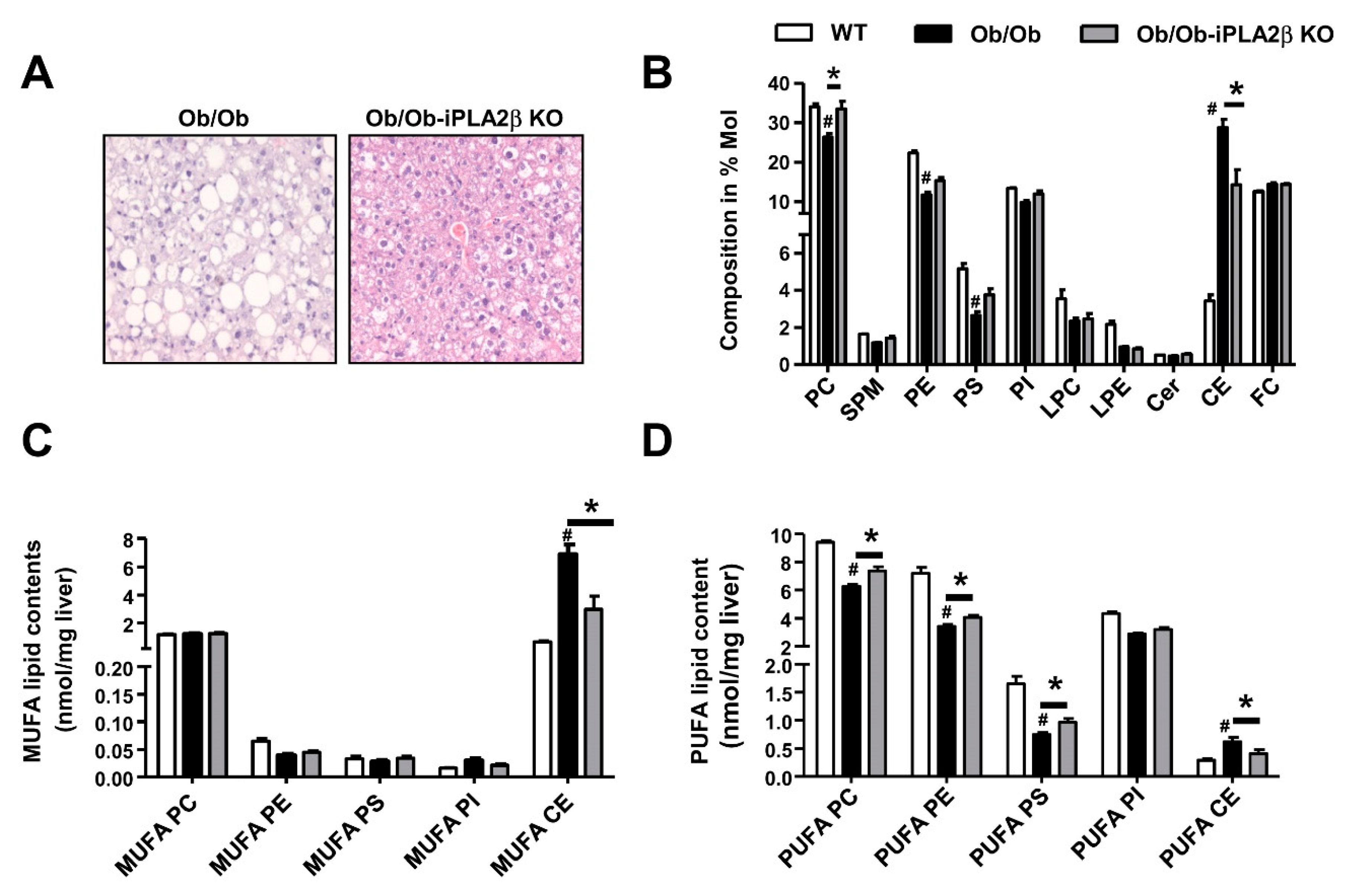 Biomolecules 10 01332 g002