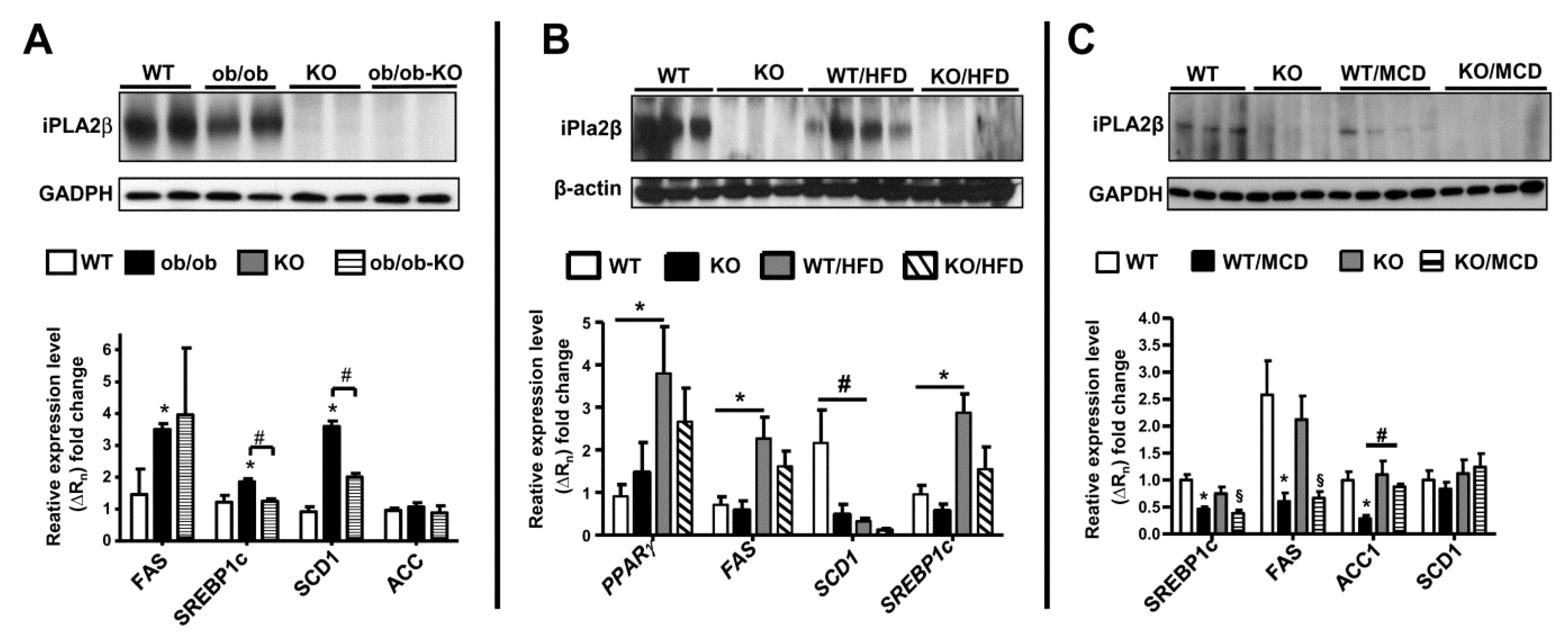 Biomolecules 10 01332 g008