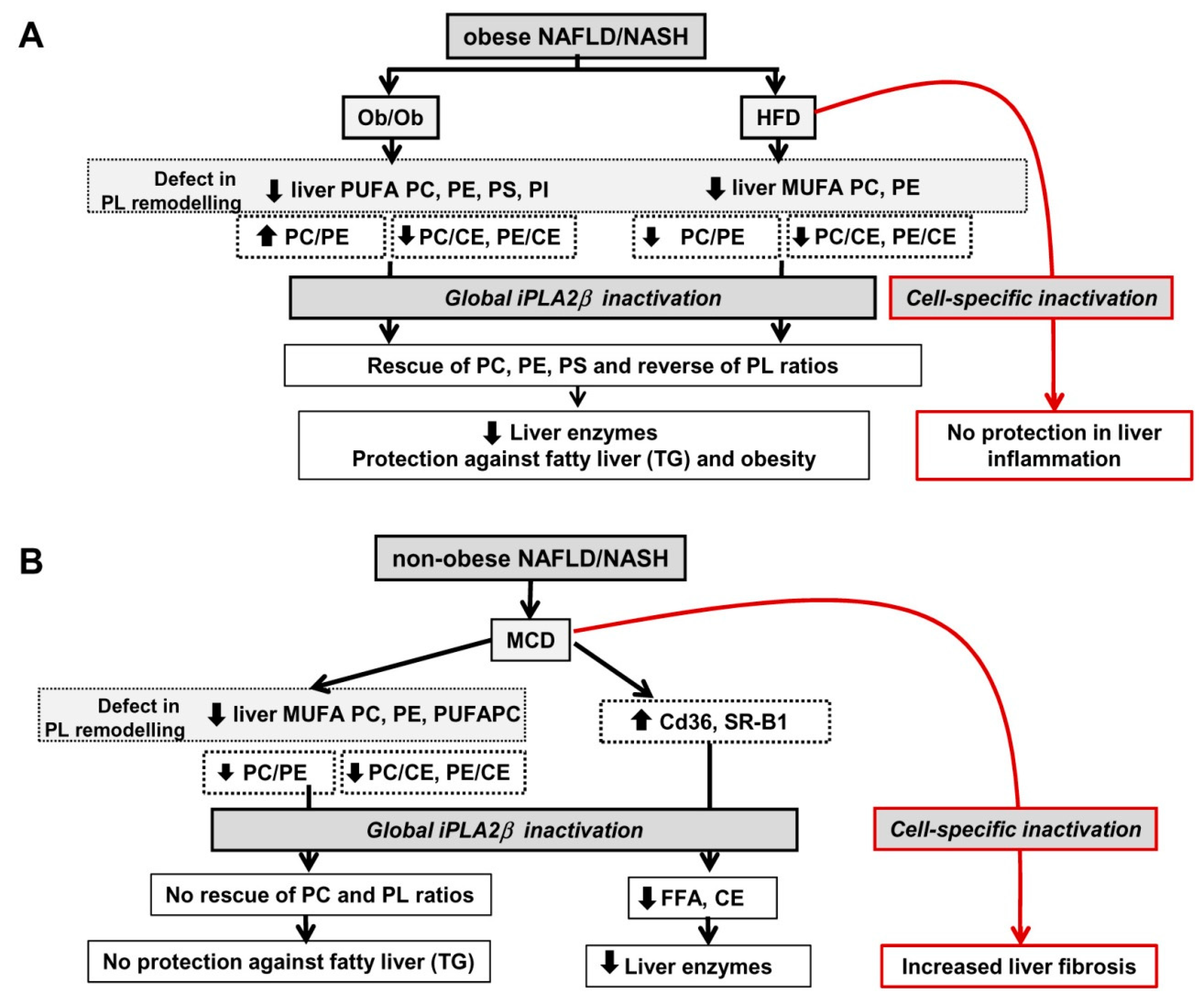Biomolecules 10 01332 g009