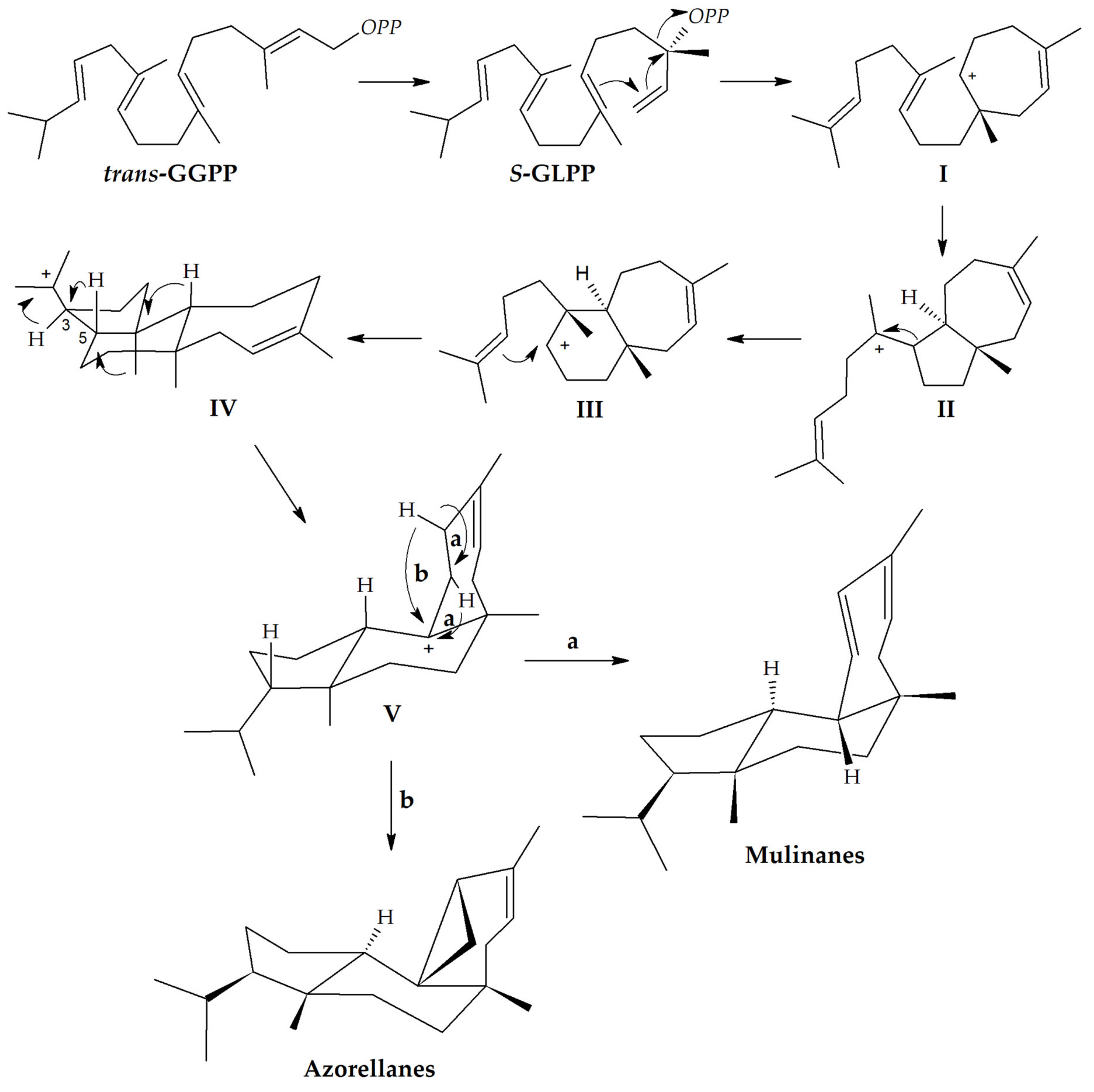 Biomolecules 10 01333 g002