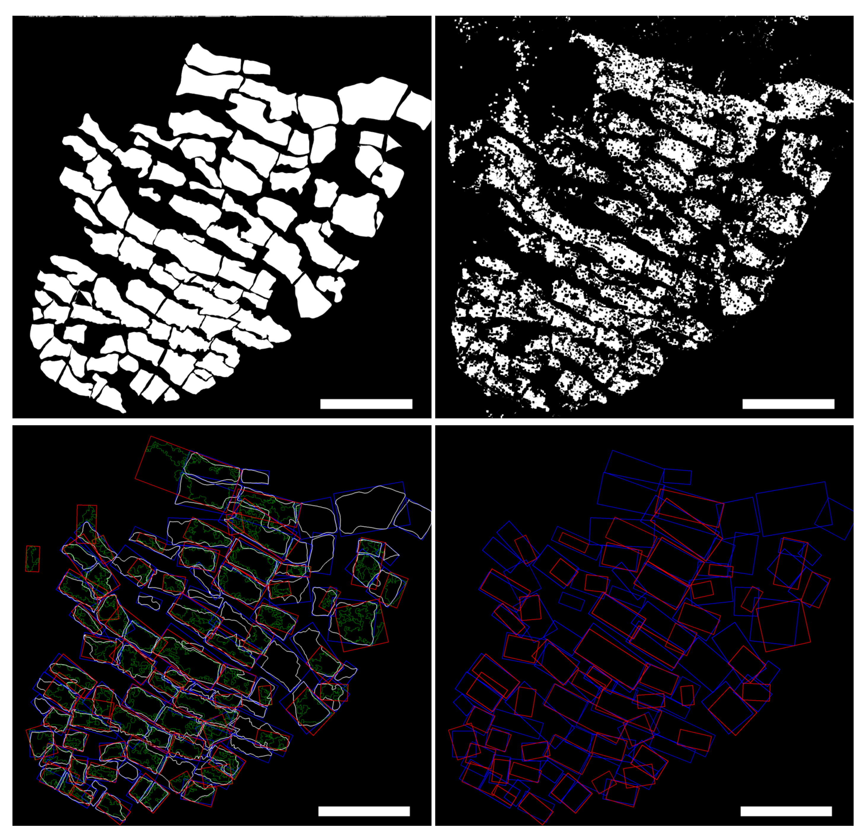 Biomolecules 10 01334 g006 Biomolecules 10 01334 g006
