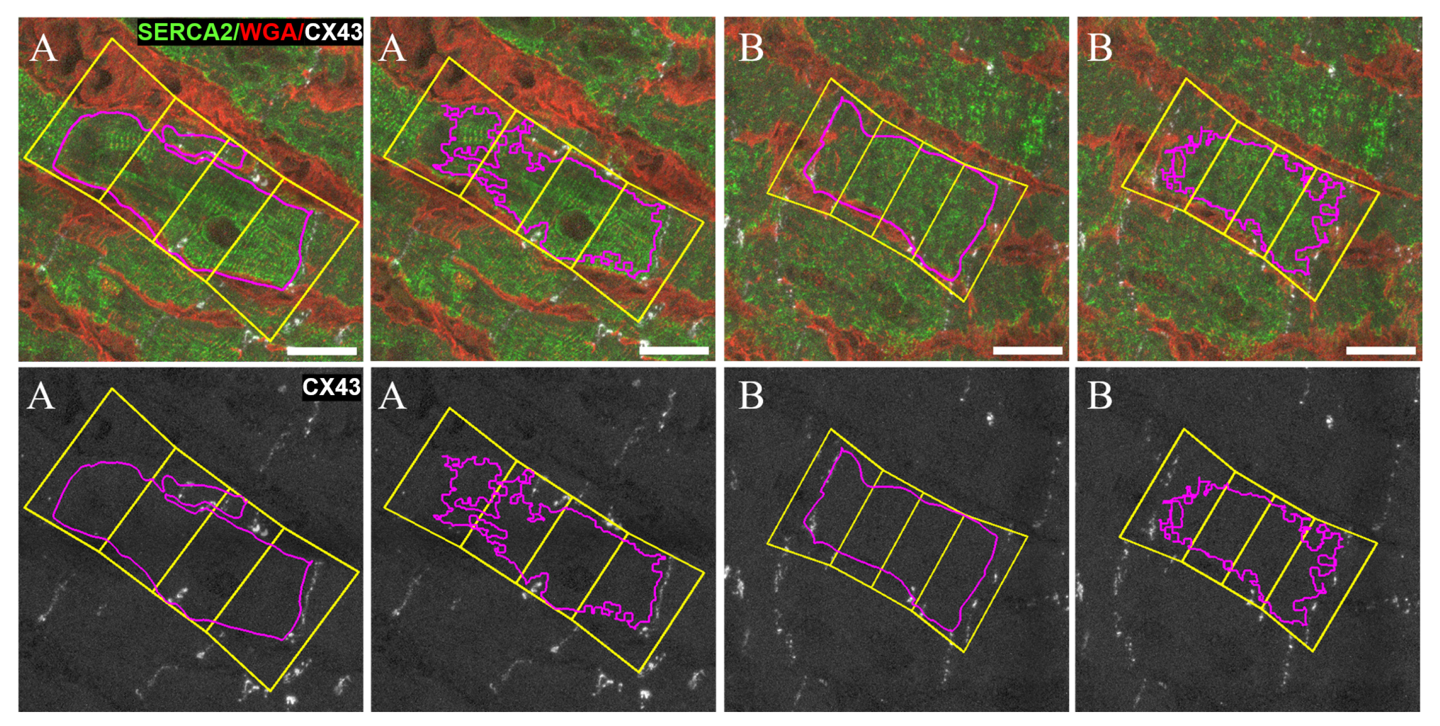 Biomolecules 10 01334 g011 Biomolecules 10 01334 g011