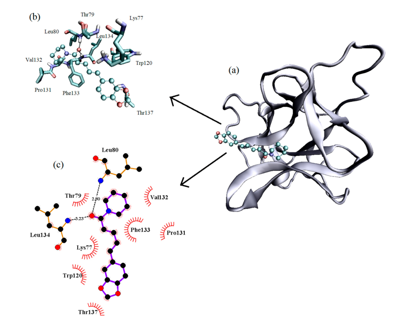 Biomolecules 10 01337 g008