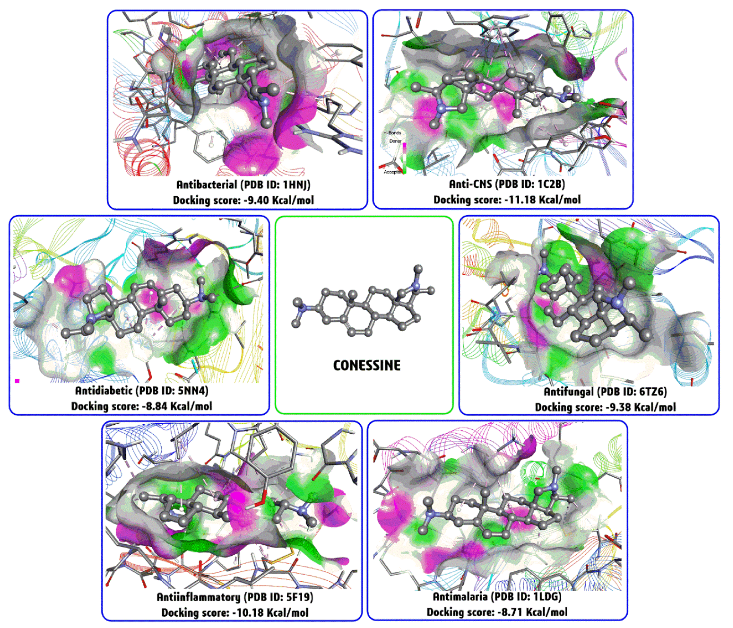 Biomolecules 10 01341 g005 Biomolecules 10 01341 g005