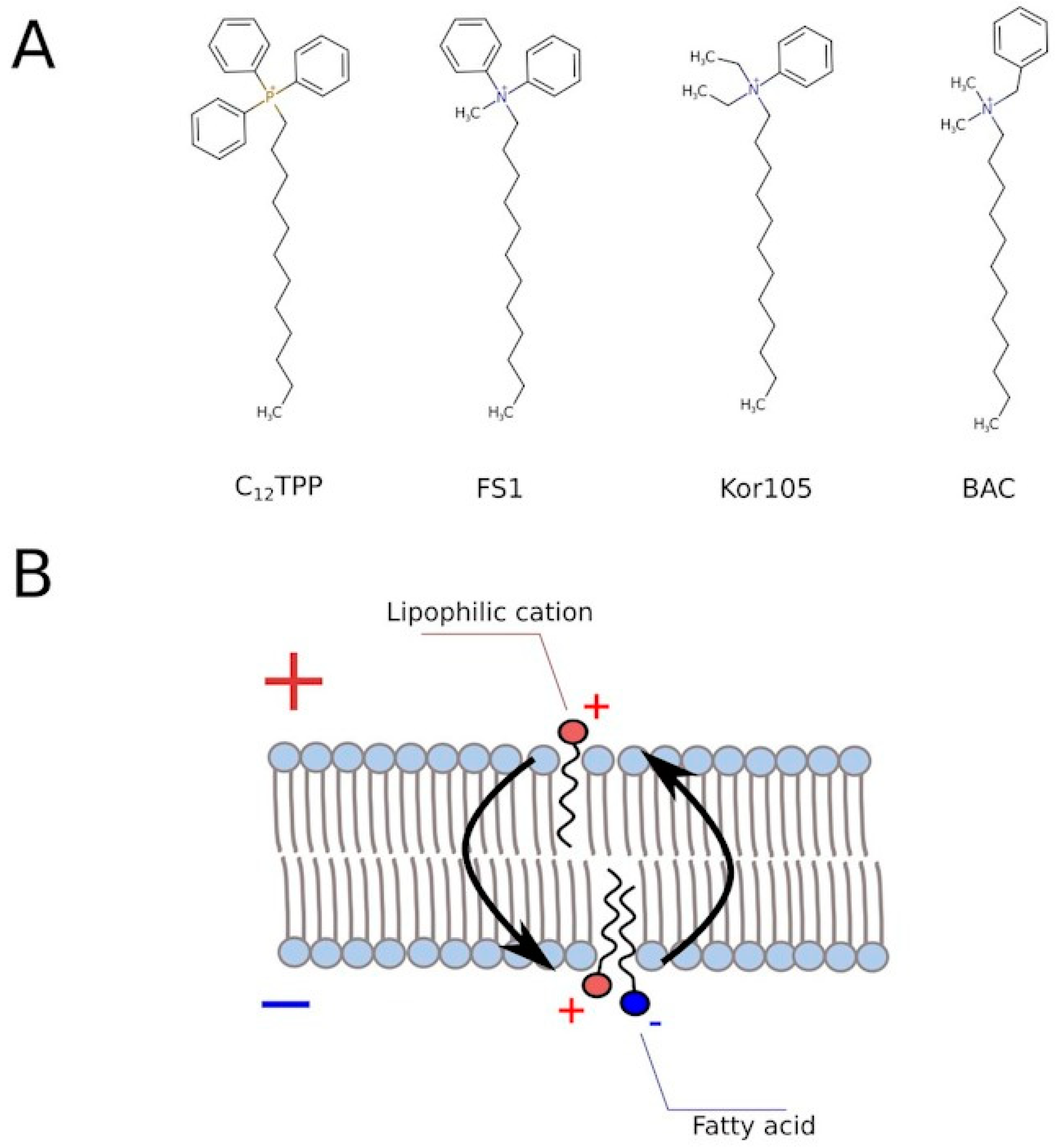 Biomolecules 10 01345 g005