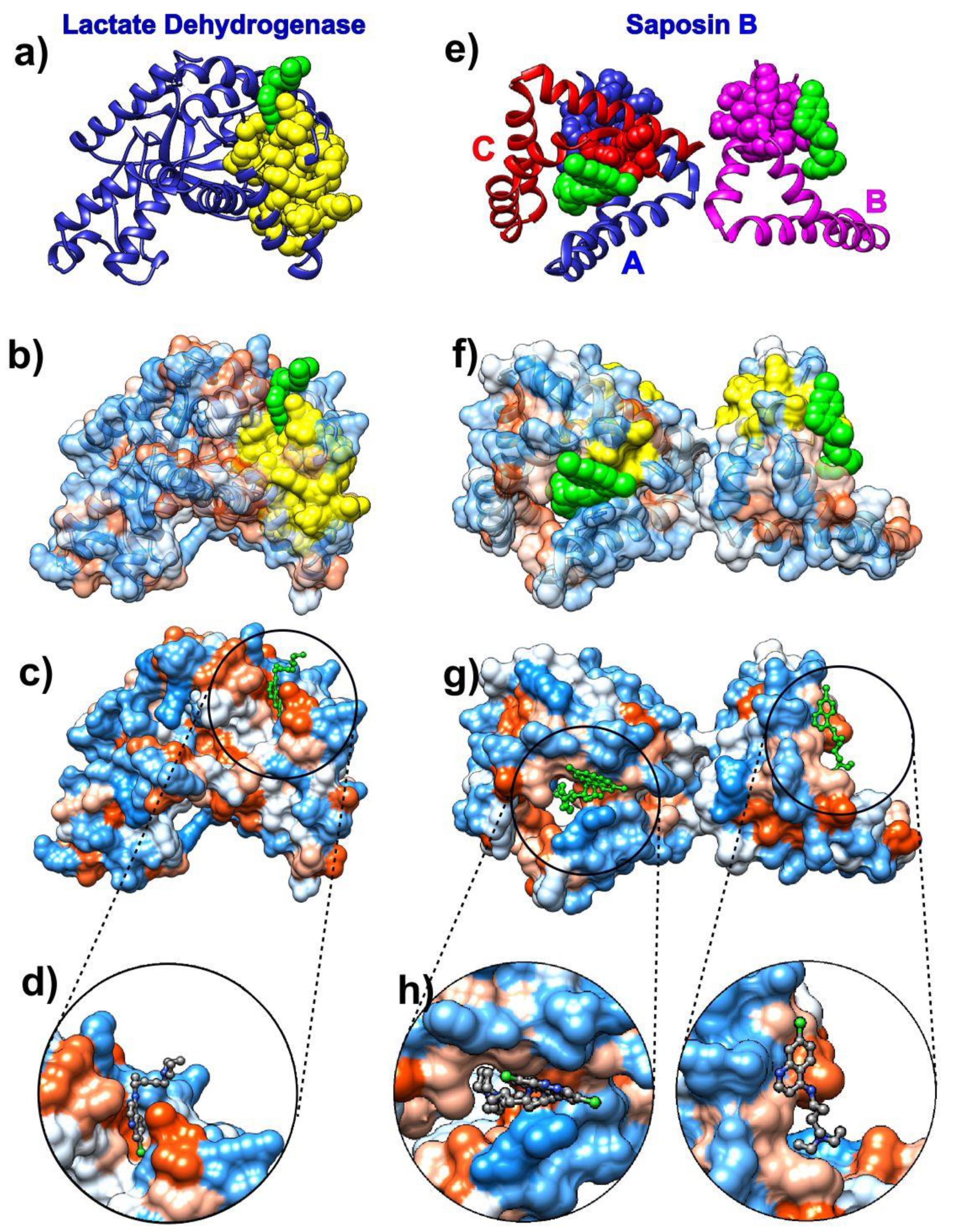Biomolecules 10 01346 g001