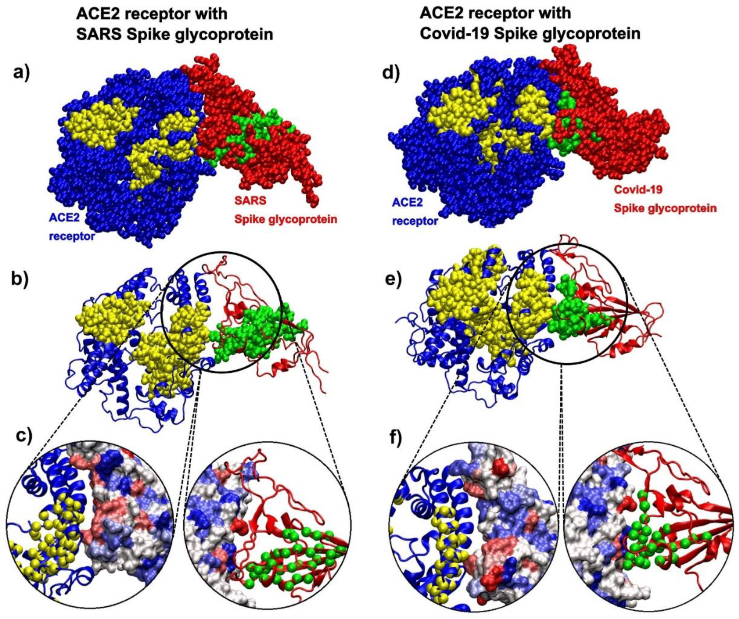 Biomolecules 10 01346 g008