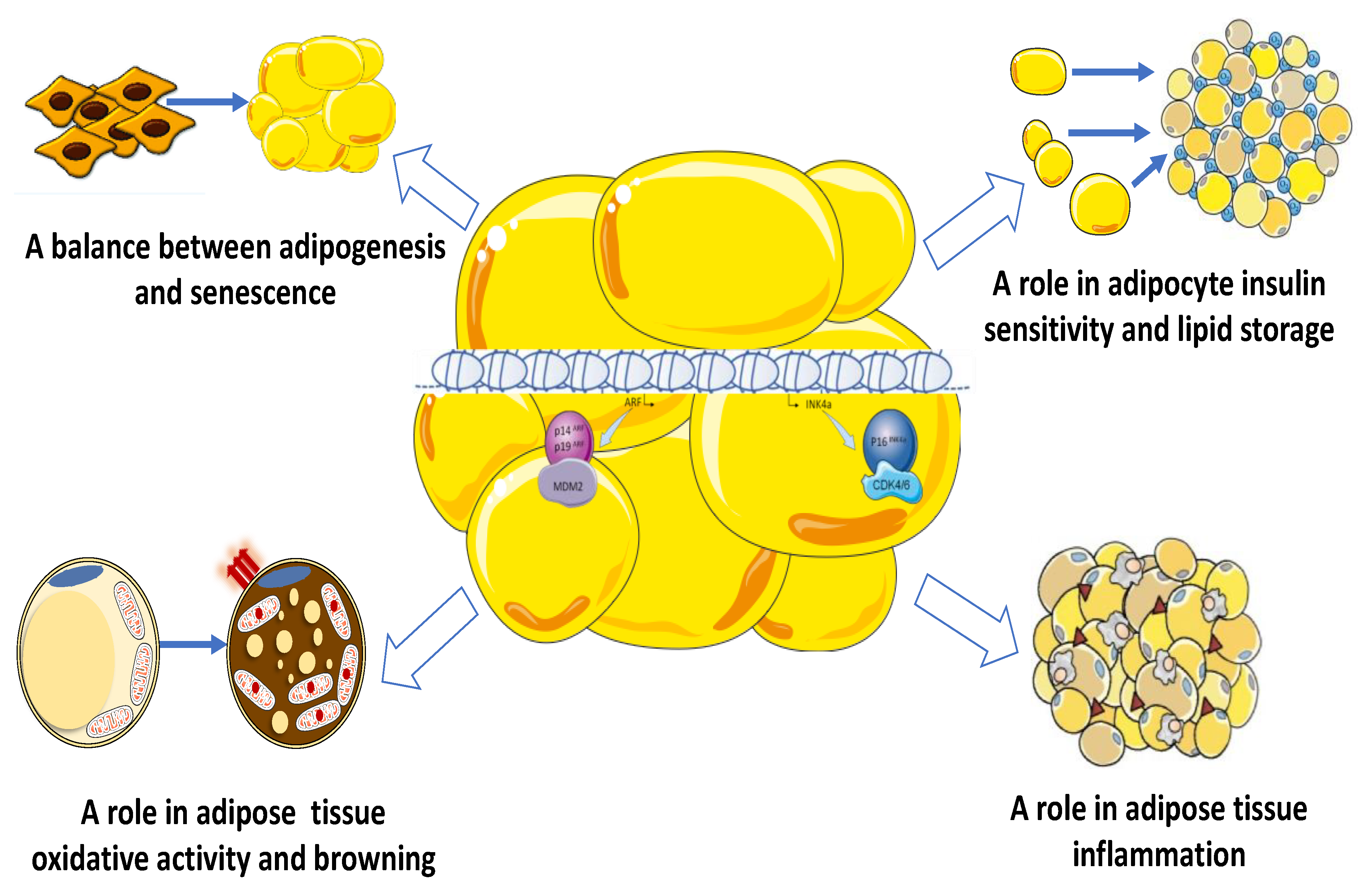 Biomolecules 10 01350 g002