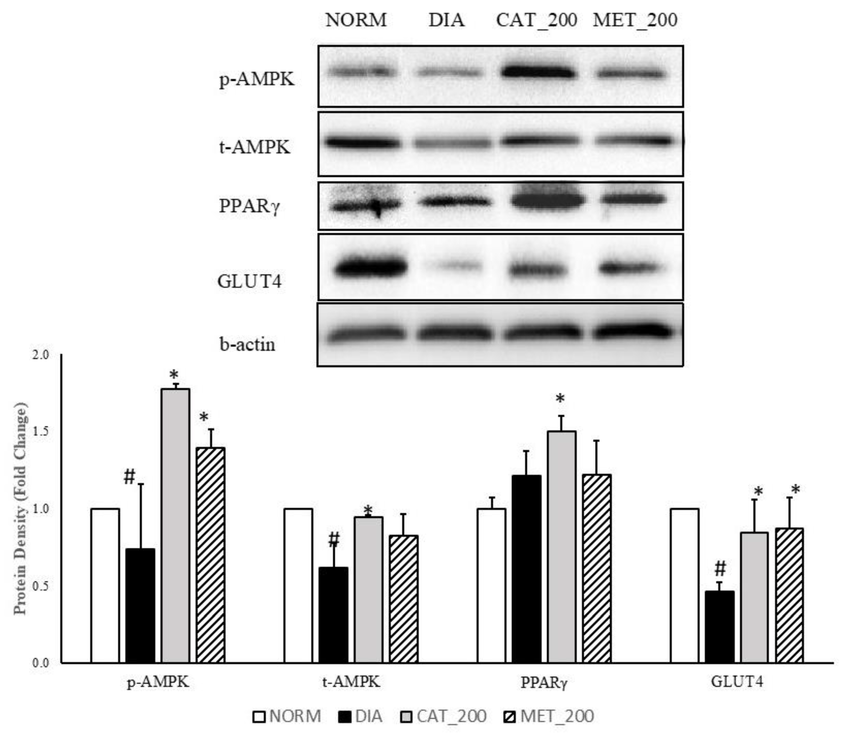 Biomolecules 10 01360 g004