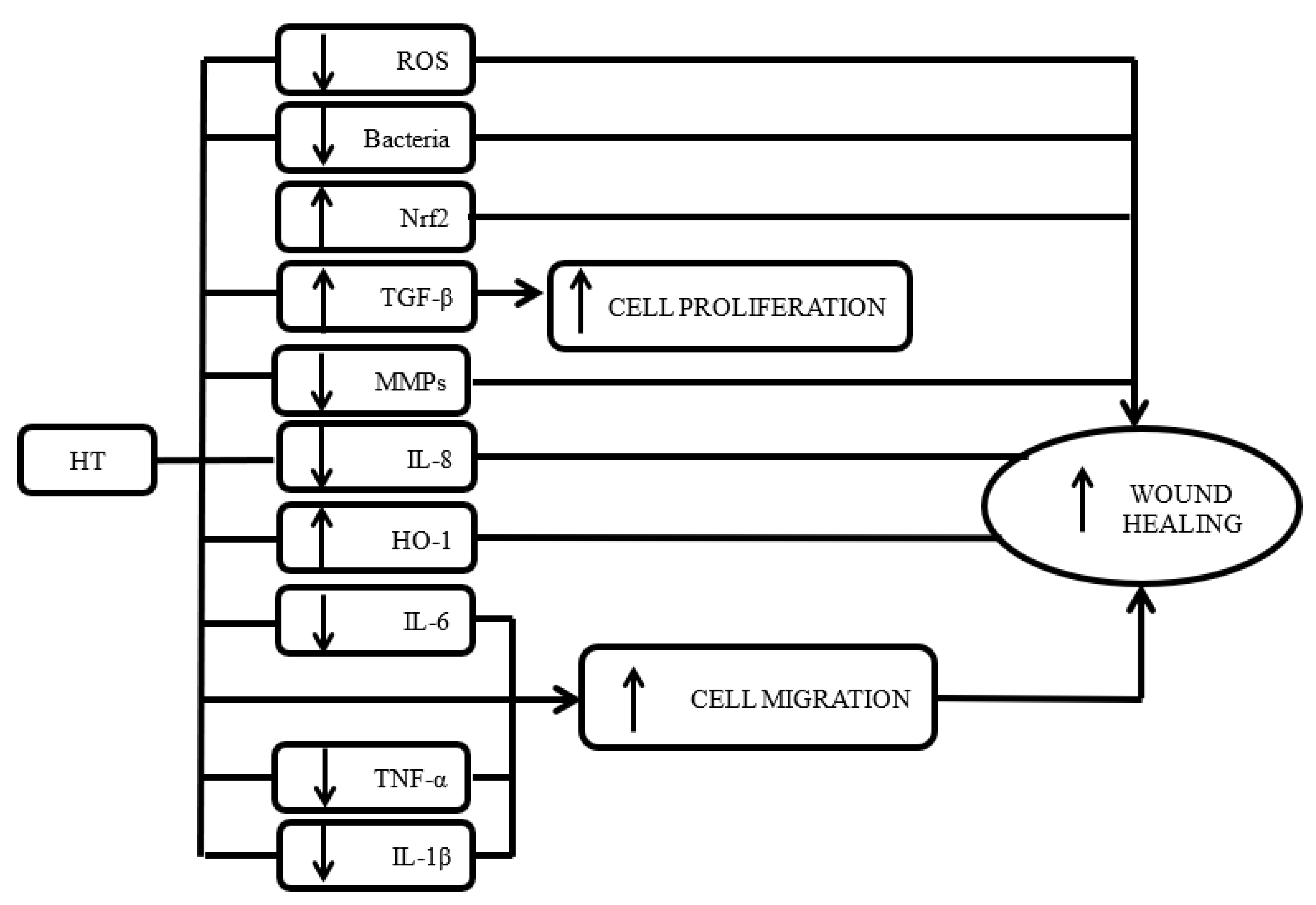 Biomolecules 10 01397 g002