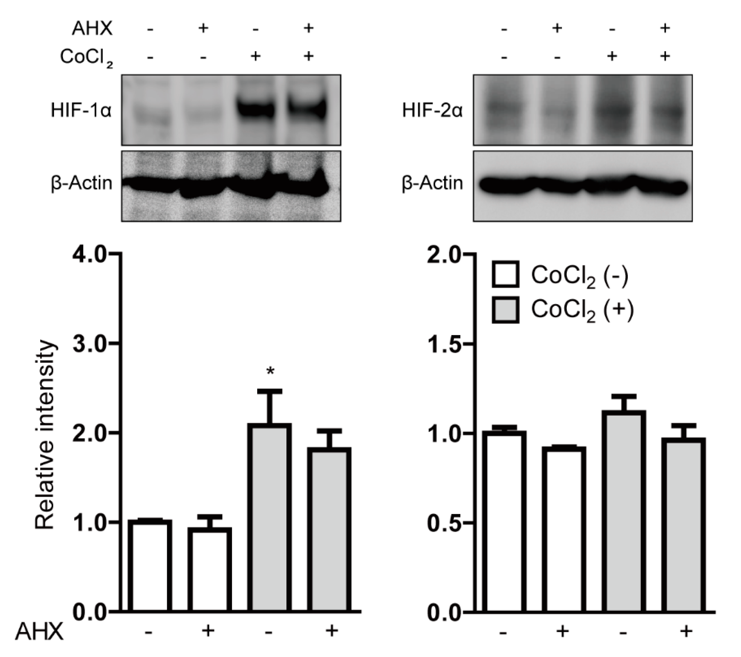 Biomolecules 10 01405 g002