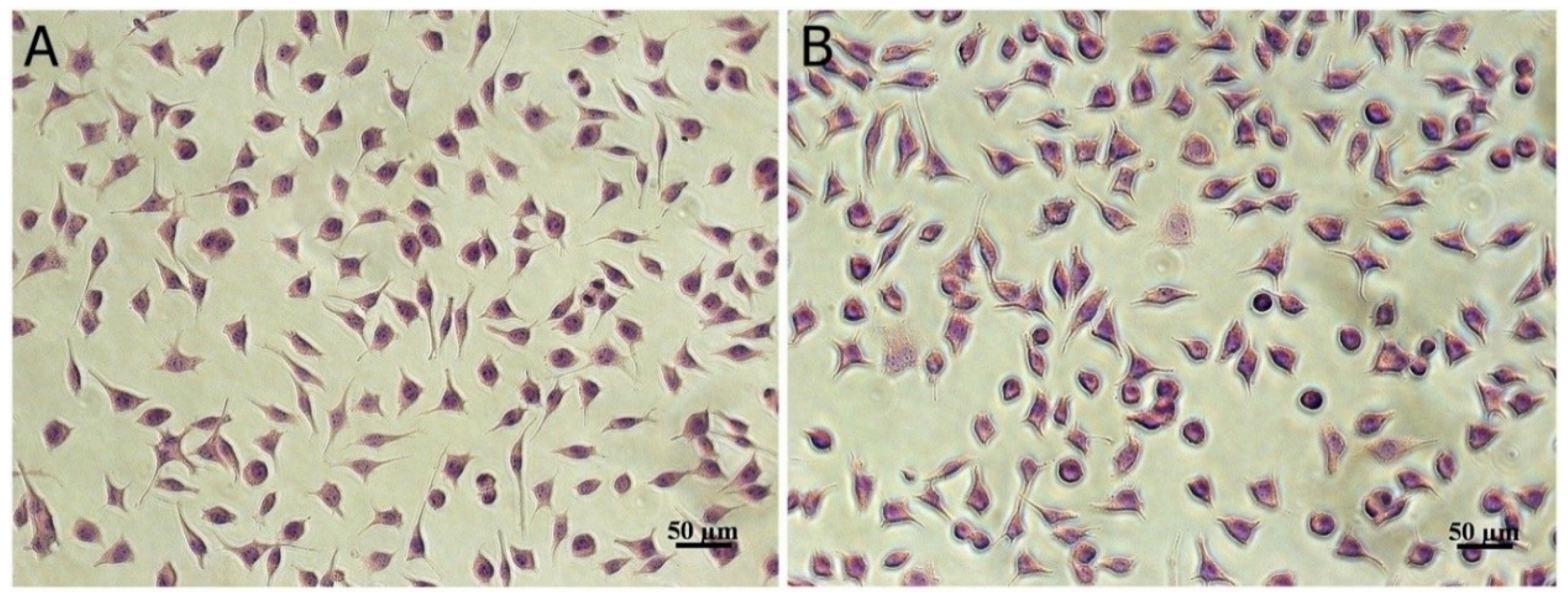 Biomolecules 10 01416 g003