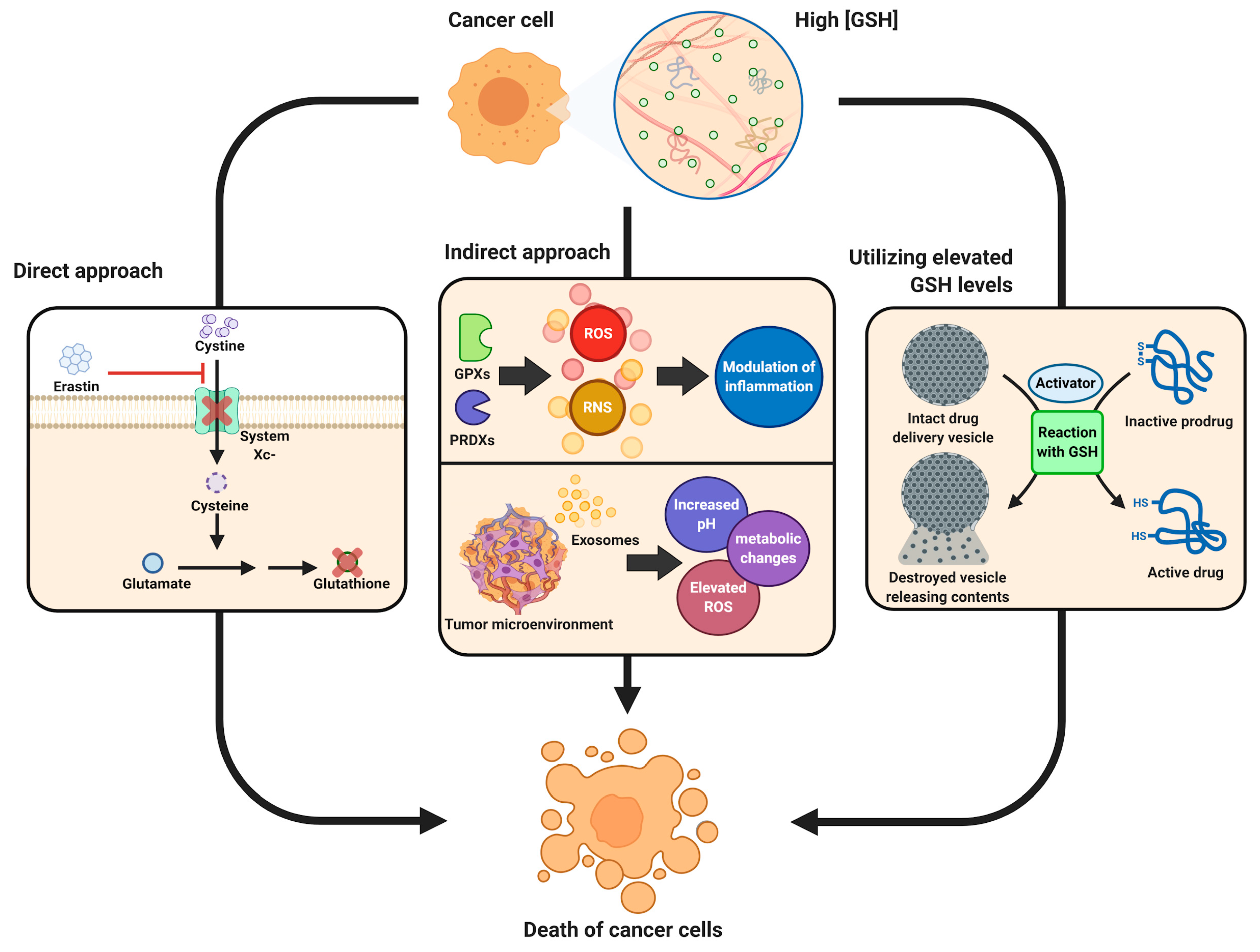 Biomolecules 10 01429 g001