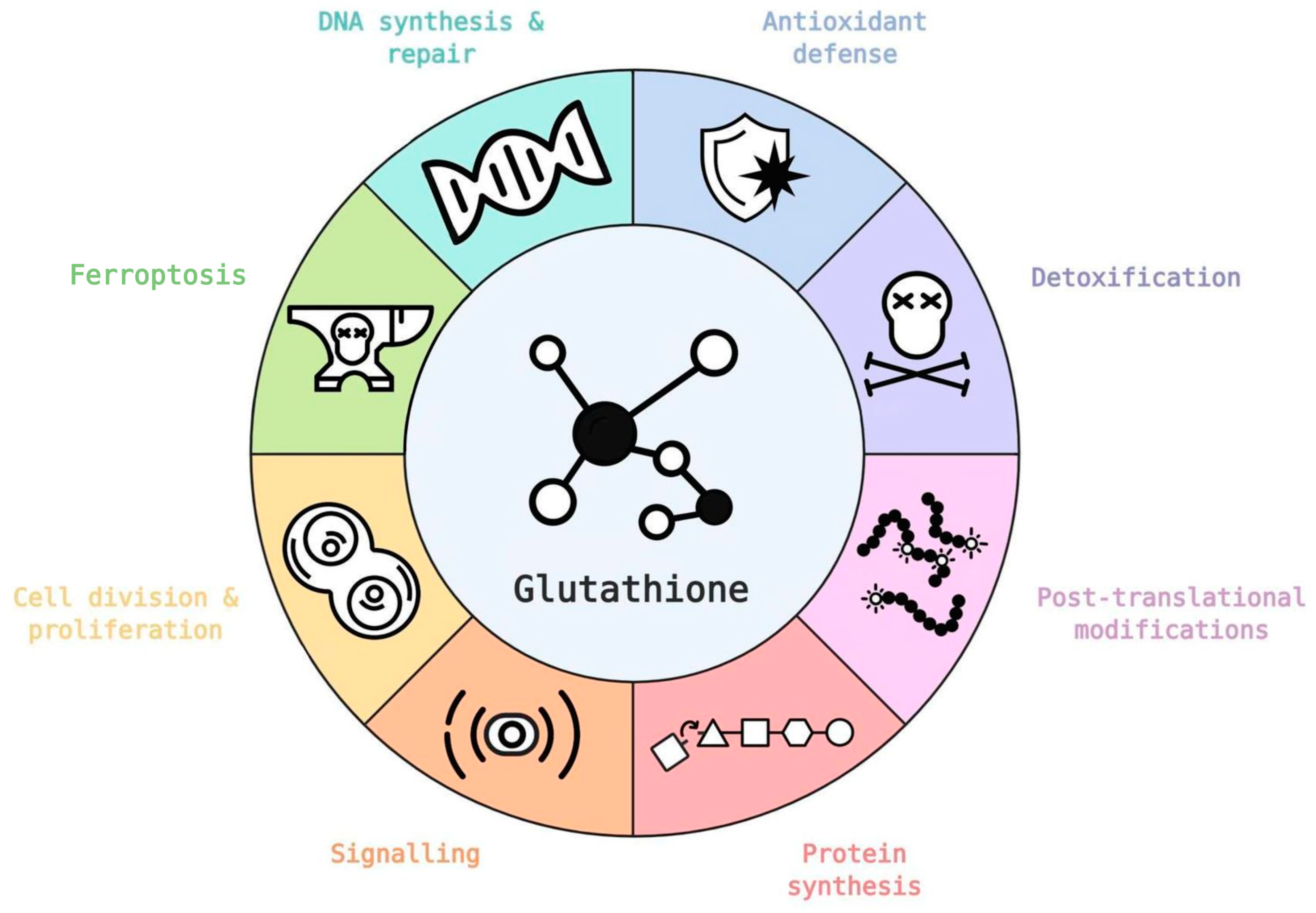 Biomolecules 10 01429 g004