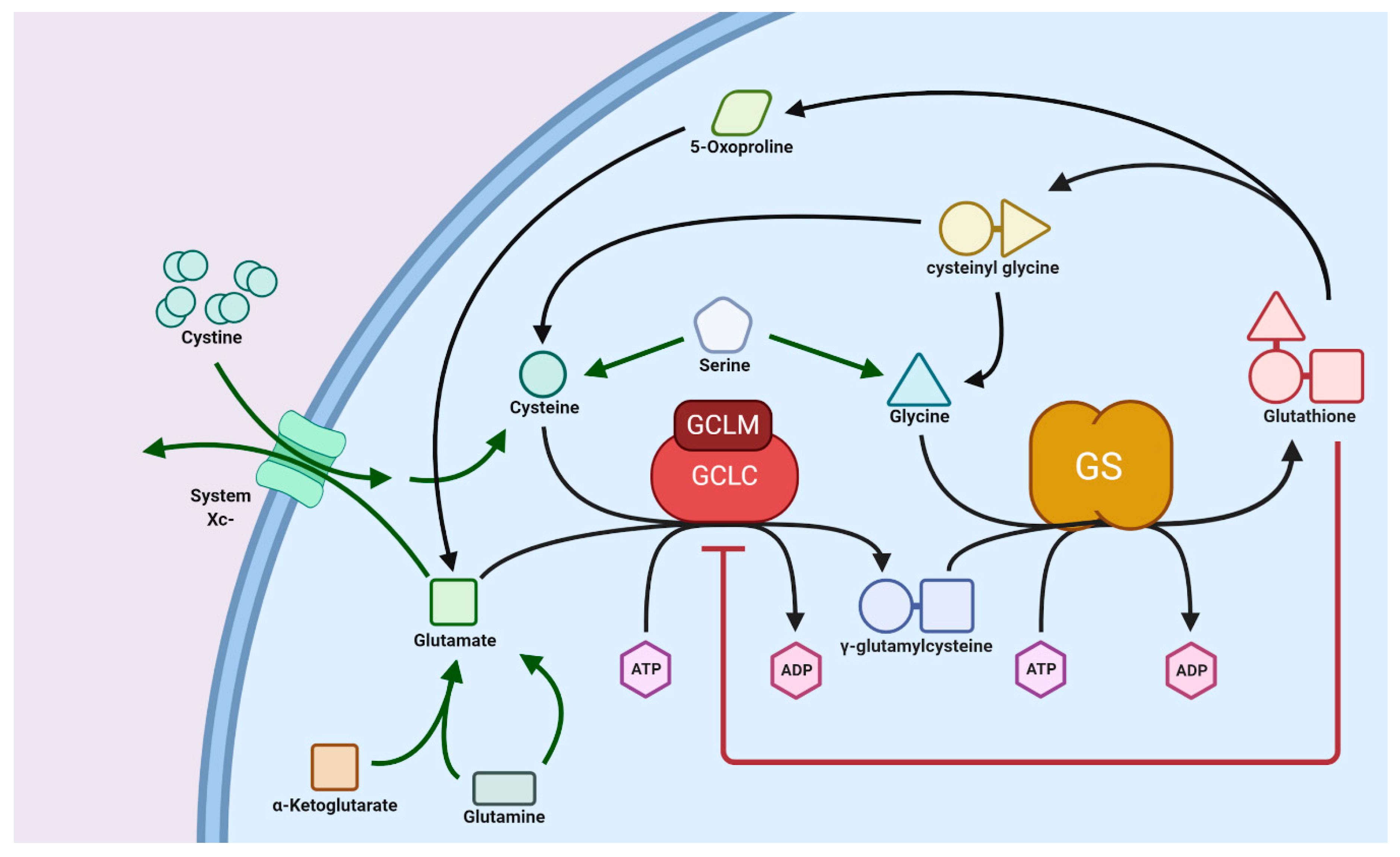 Biomolecules 10 01429 g005