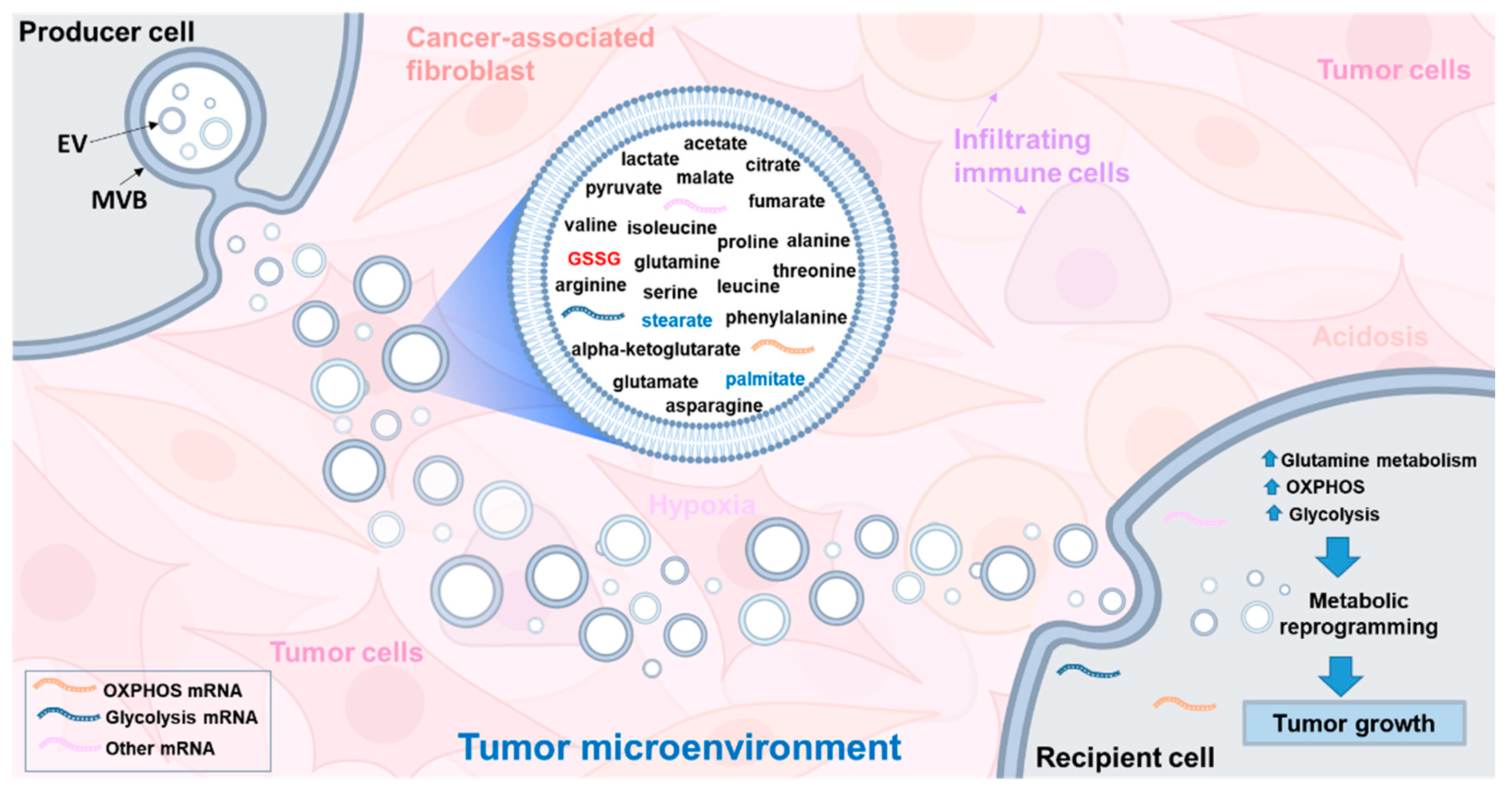 Biomolecules 10 01429 g007