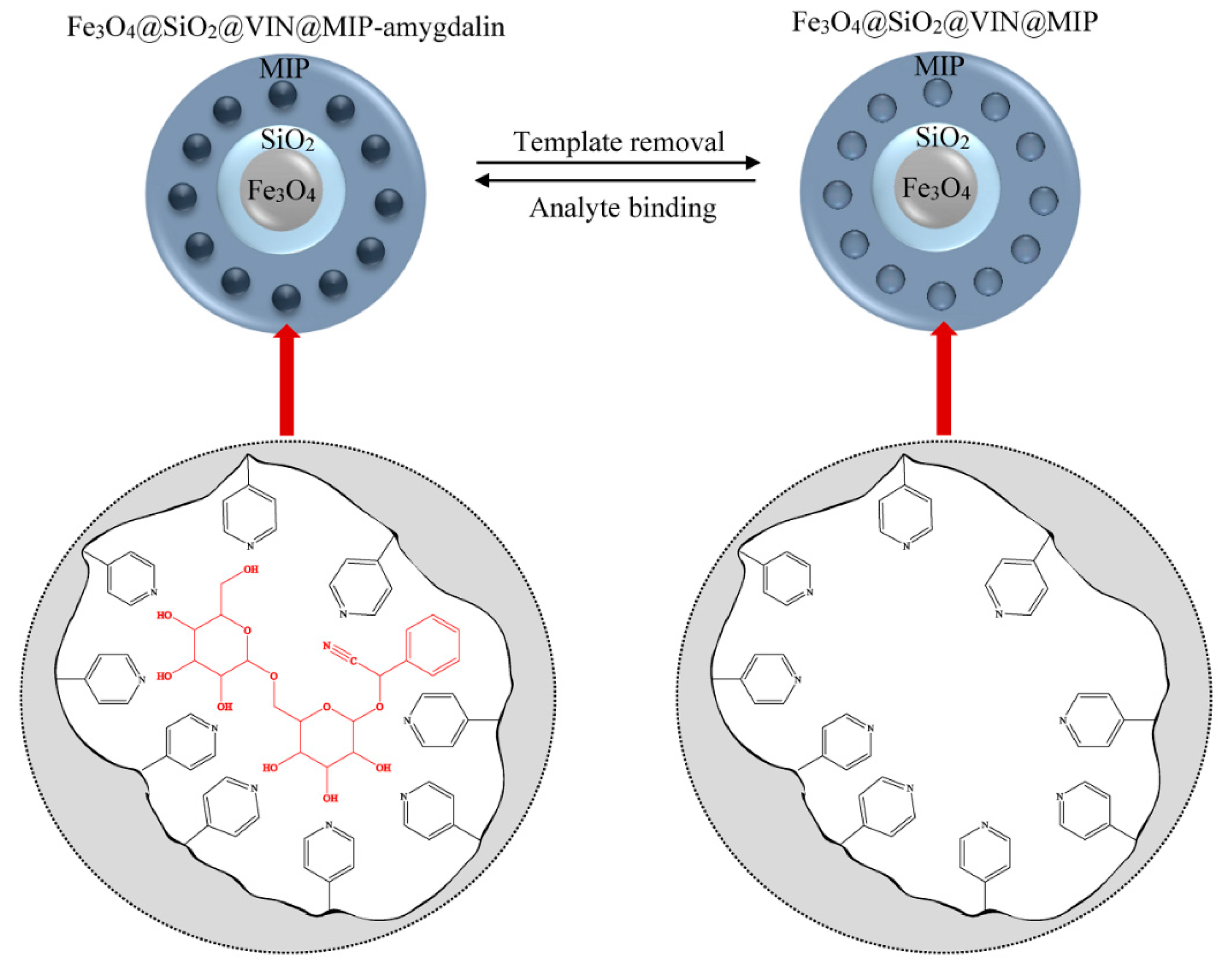 Biomolecules 10 01459 g015