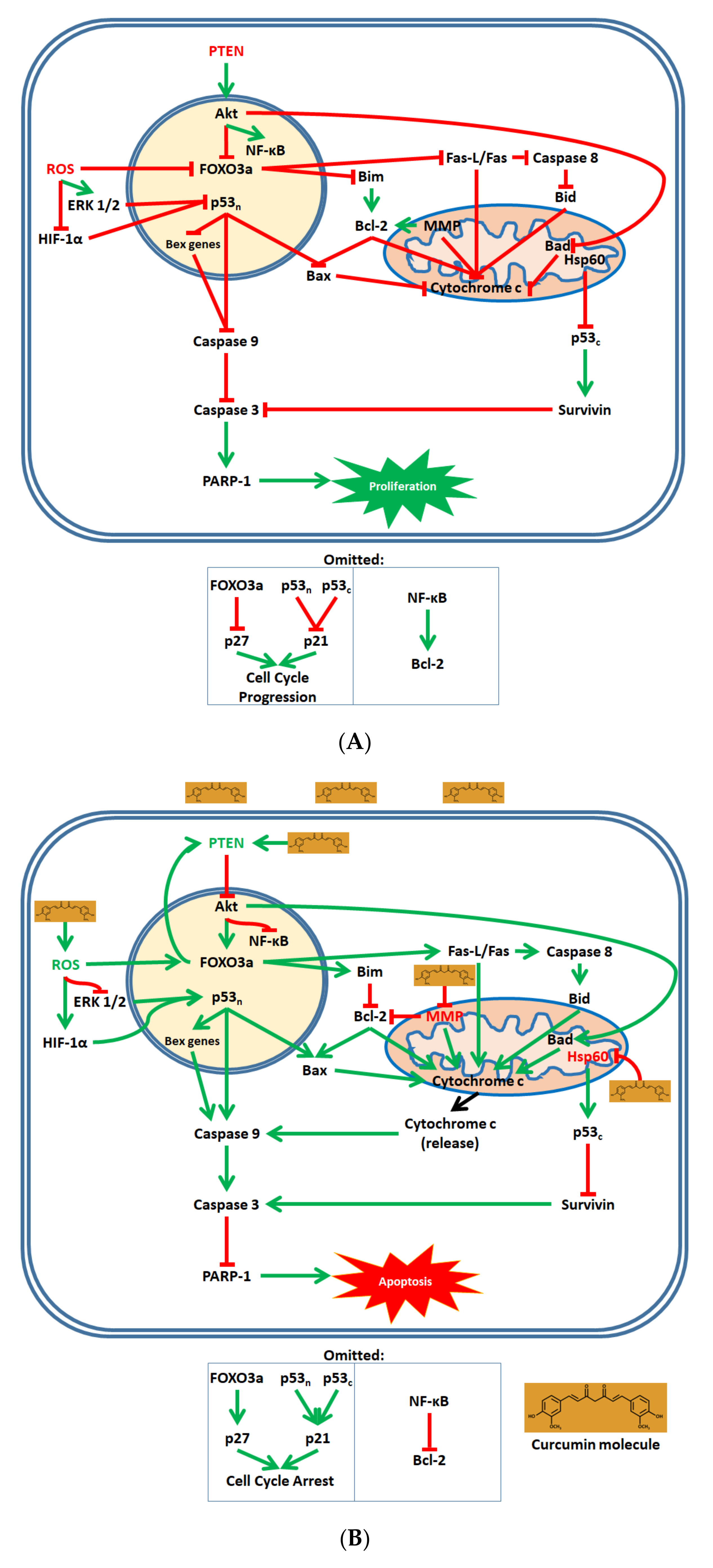 Biomolecules 10 01469 g002
