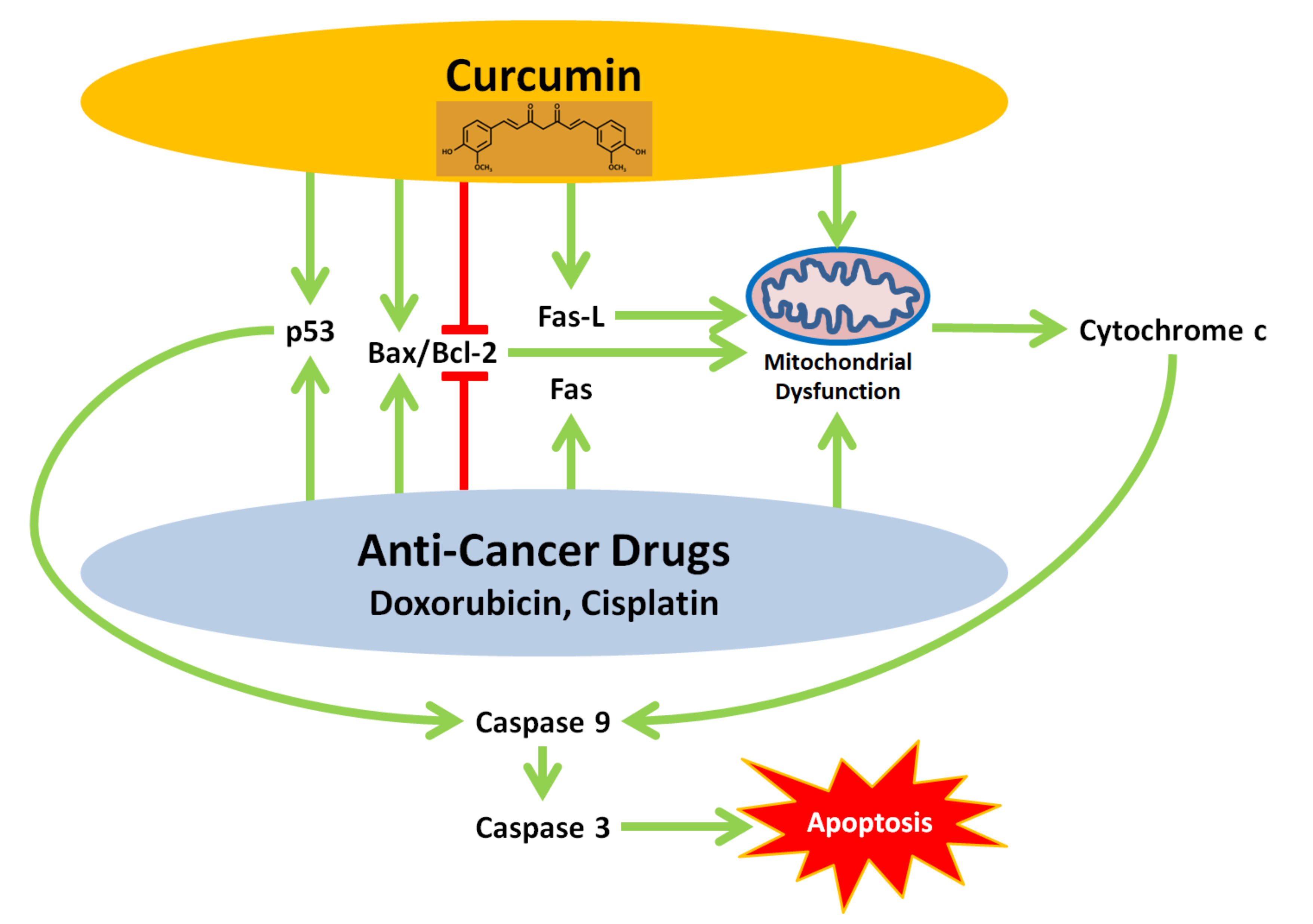 Biomolecules 10 01469 g003