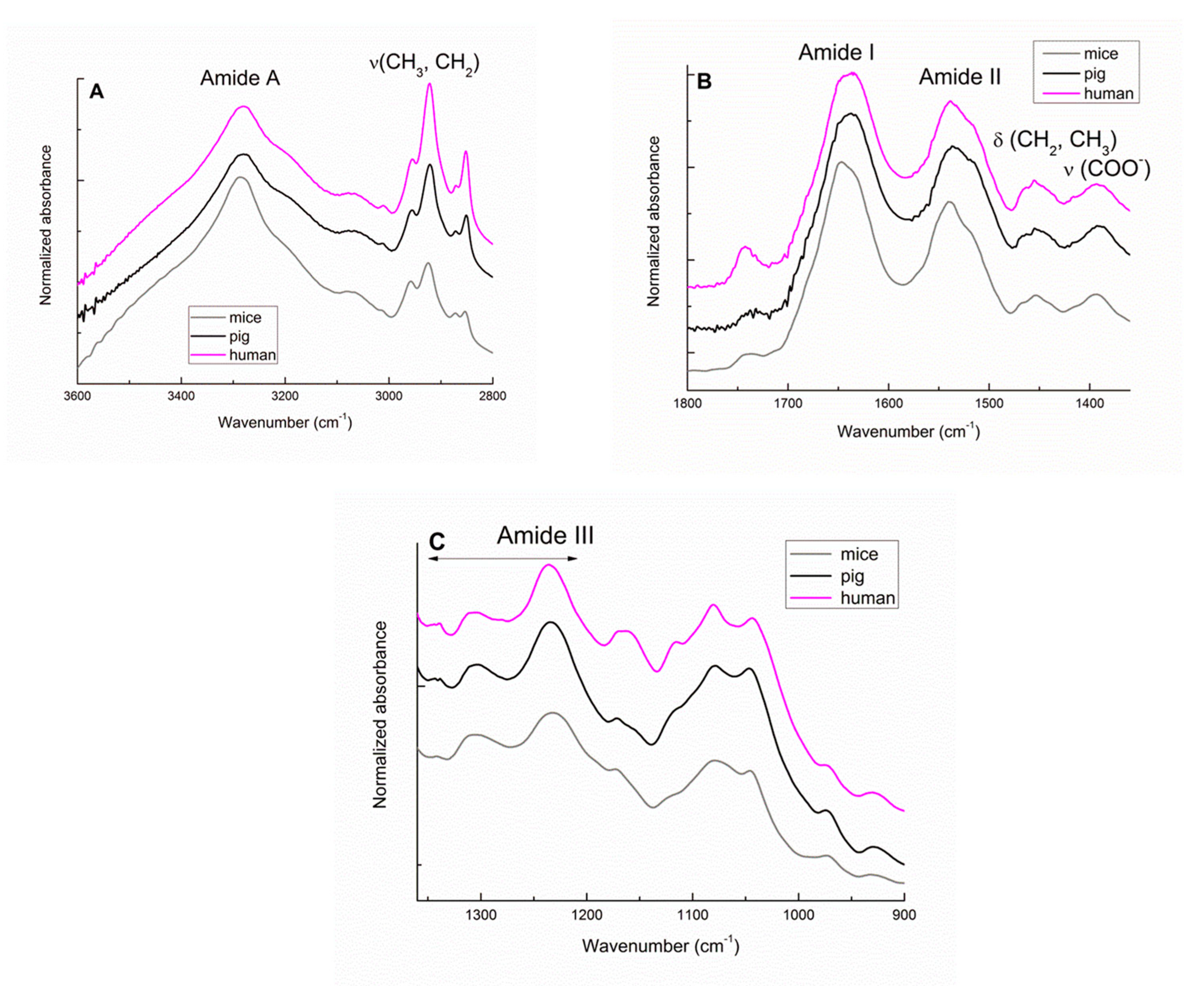 Biomolecules 10 01471 g001 Biomolecules 10 01471 g001