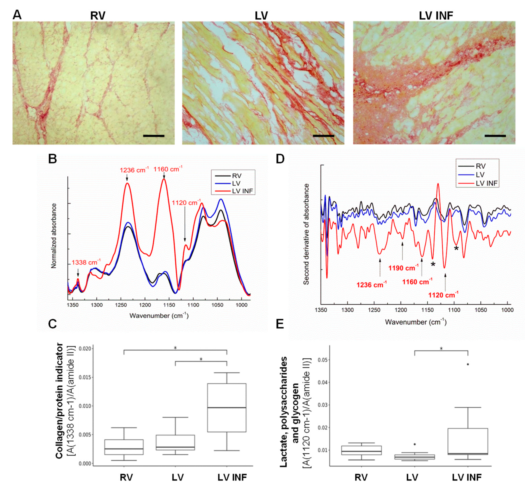 Biomolecules 10 01471 g002 Biomolecules 10 01471 g002