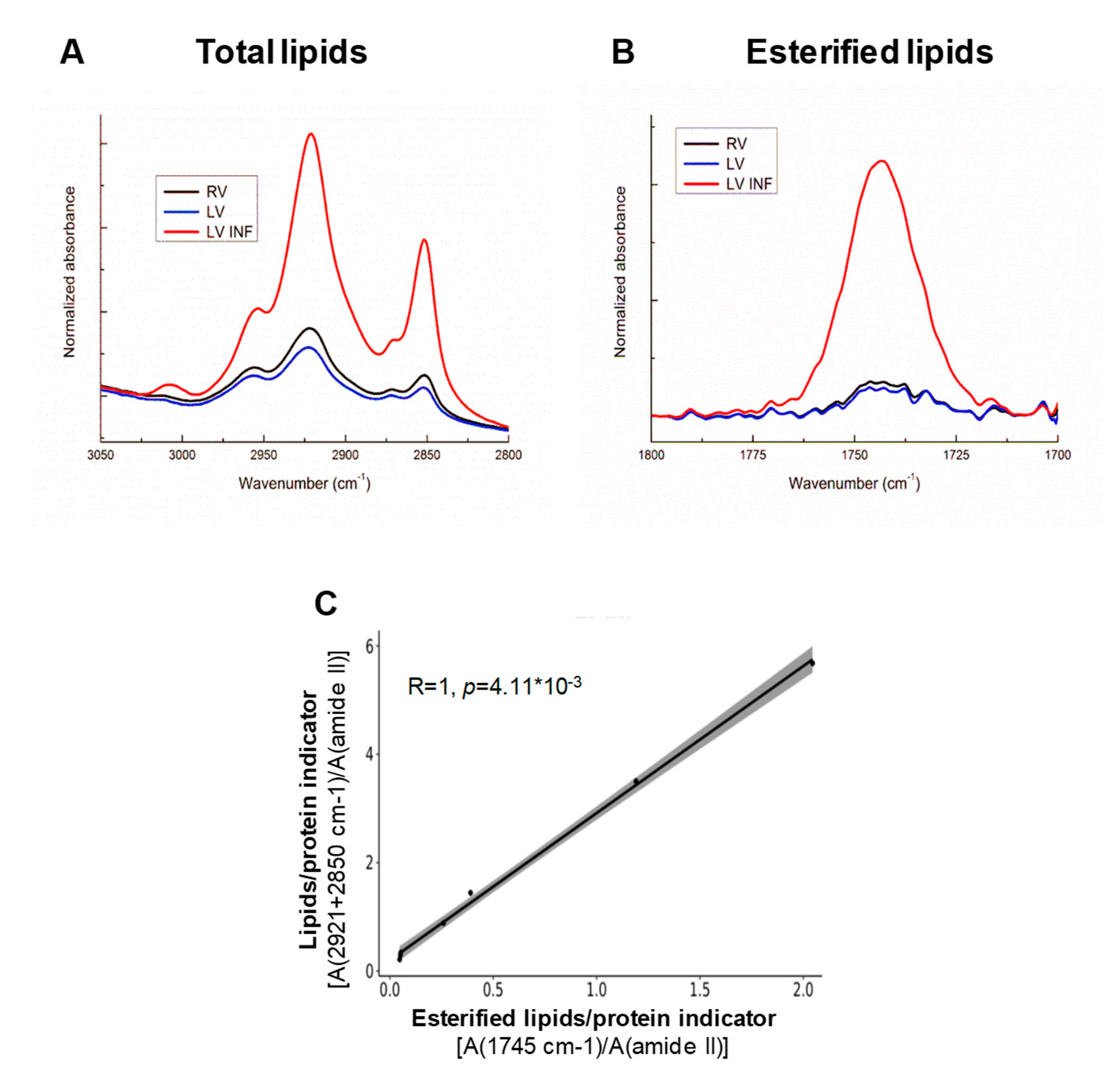 Biomolecules 10 01471 g004 Biomolecules 10 01471 g004