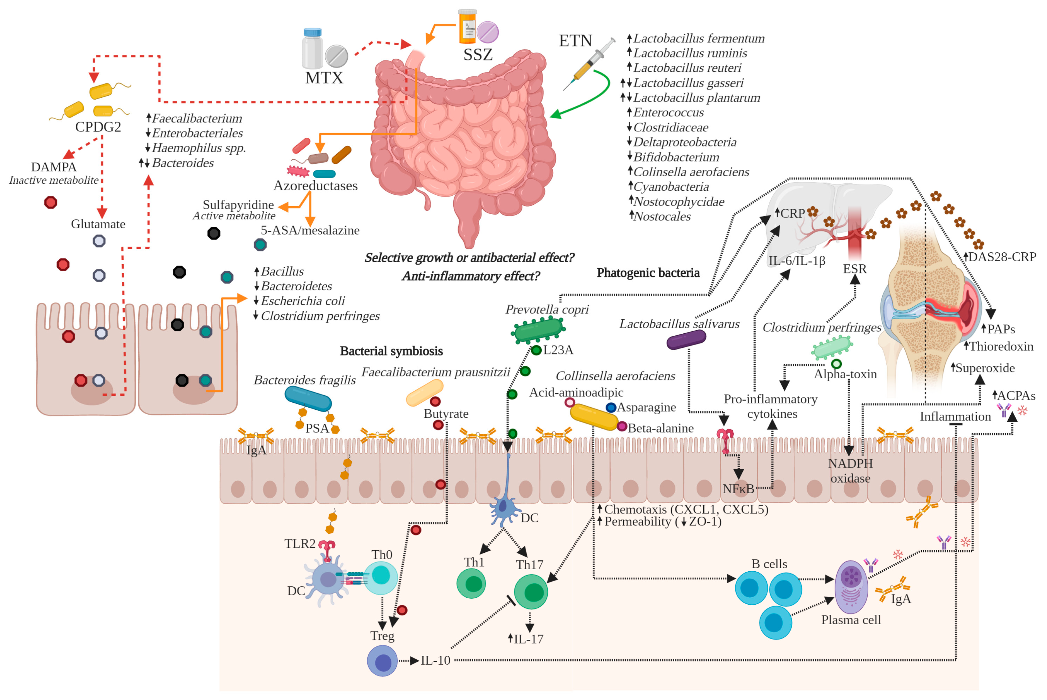 Biomolecules 10 01479 g003 Biomolecules 10 01479 g003
