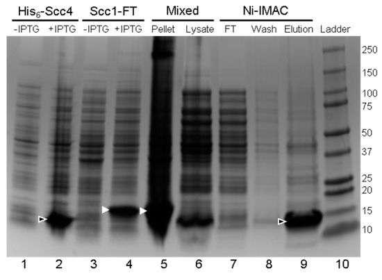 Biomolecules 10 01480 g0a1