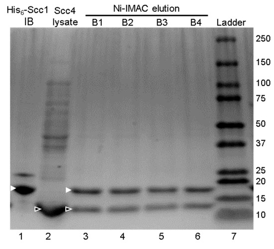 Biomolecules 10 01480 g0a2