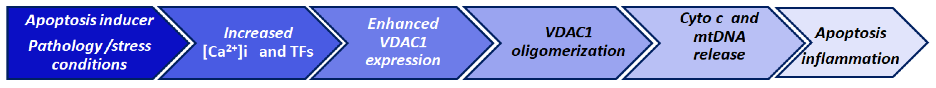 Biomolecules 10 01485 g002