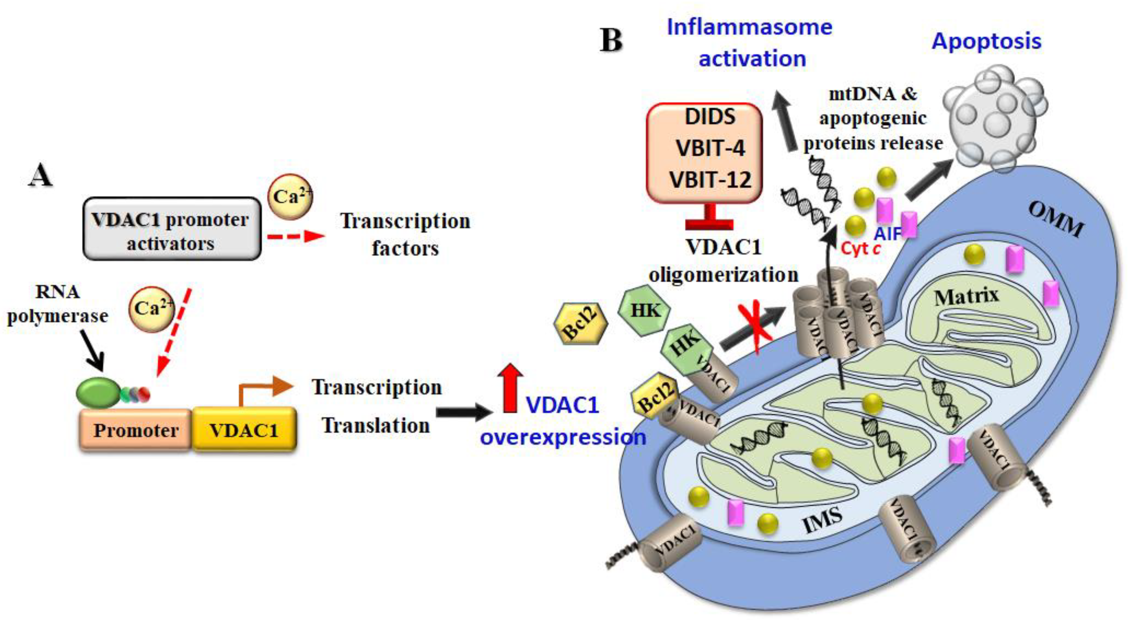 Biomolecules 10 01485 g003