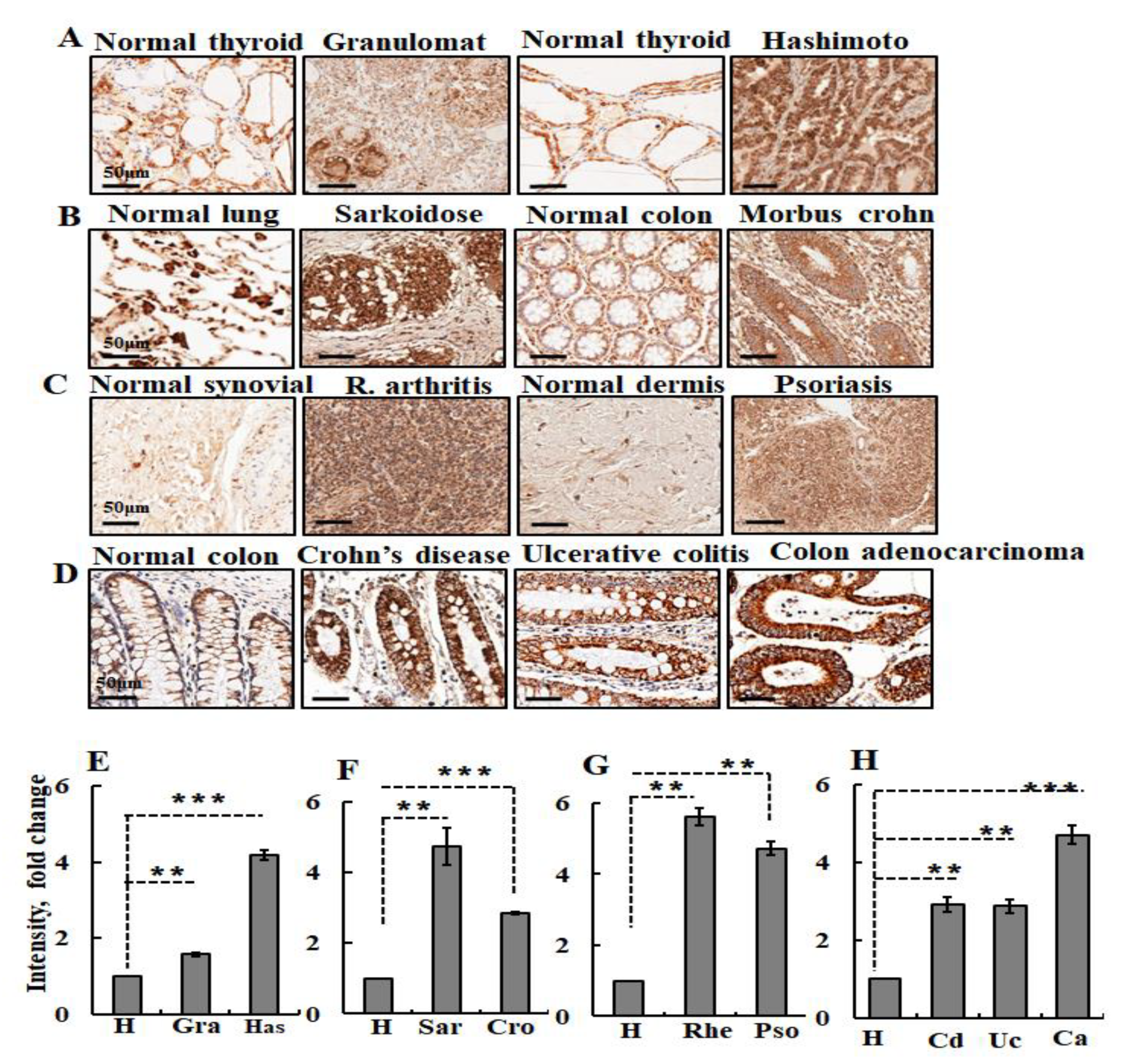 Biomolecules 10 01485 g005