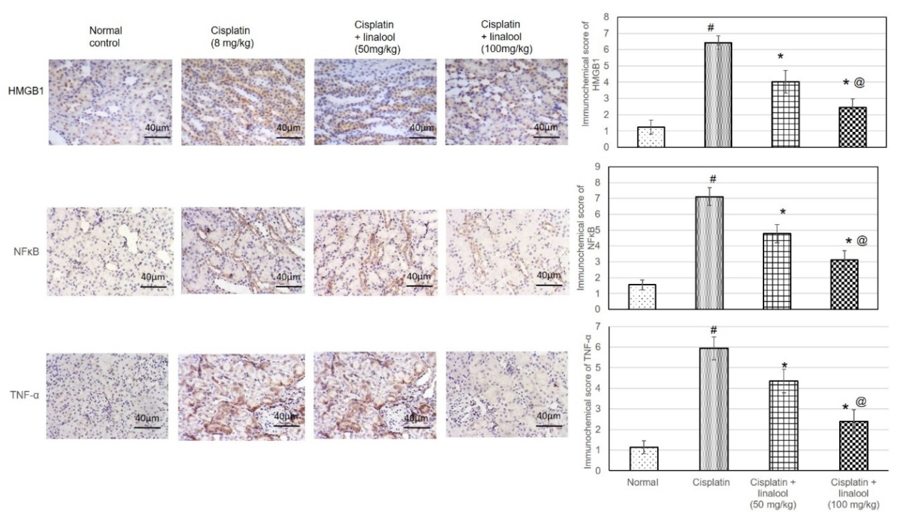Biomolecules 10 01488 g007