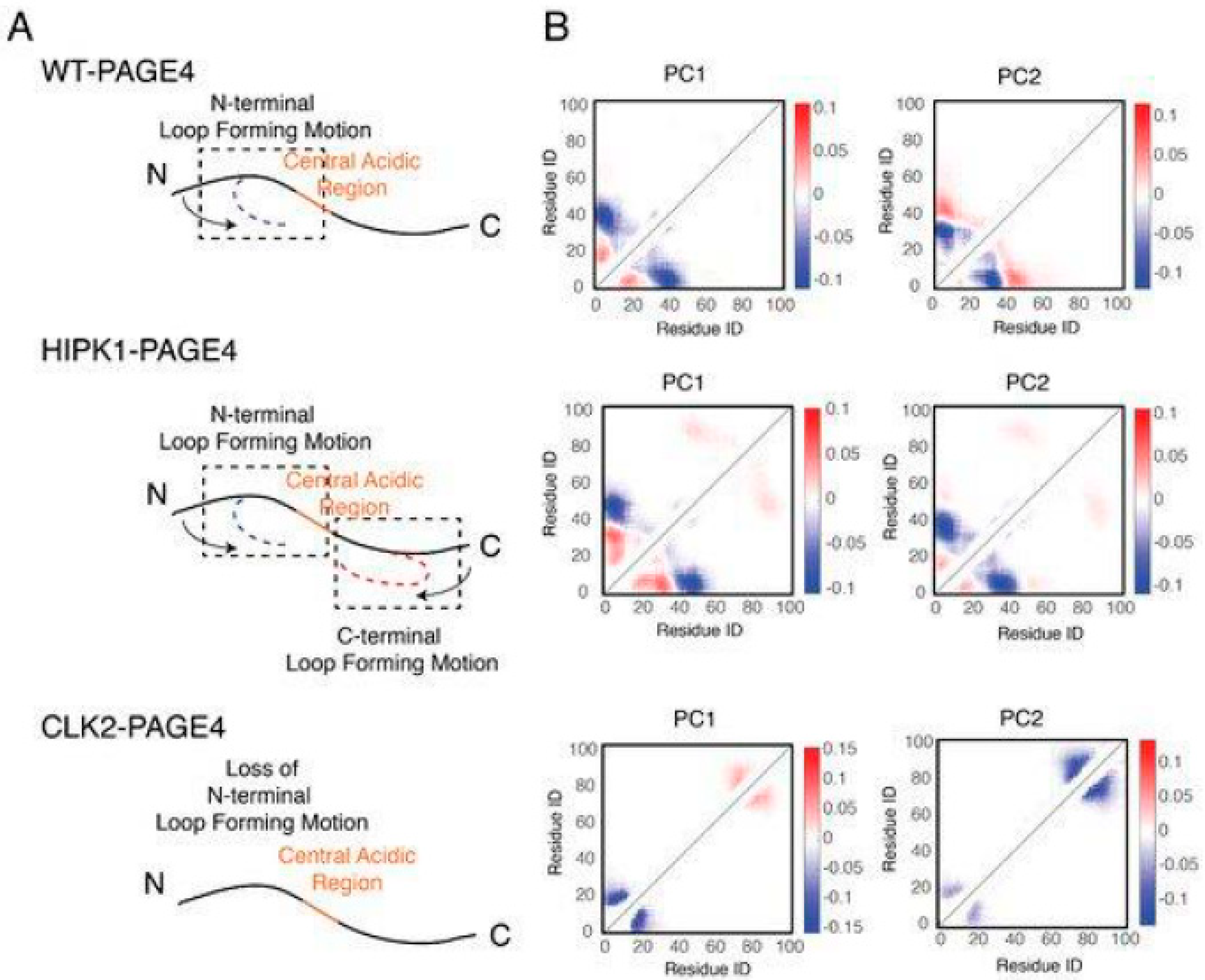 Biomolecules 10 01490 g005