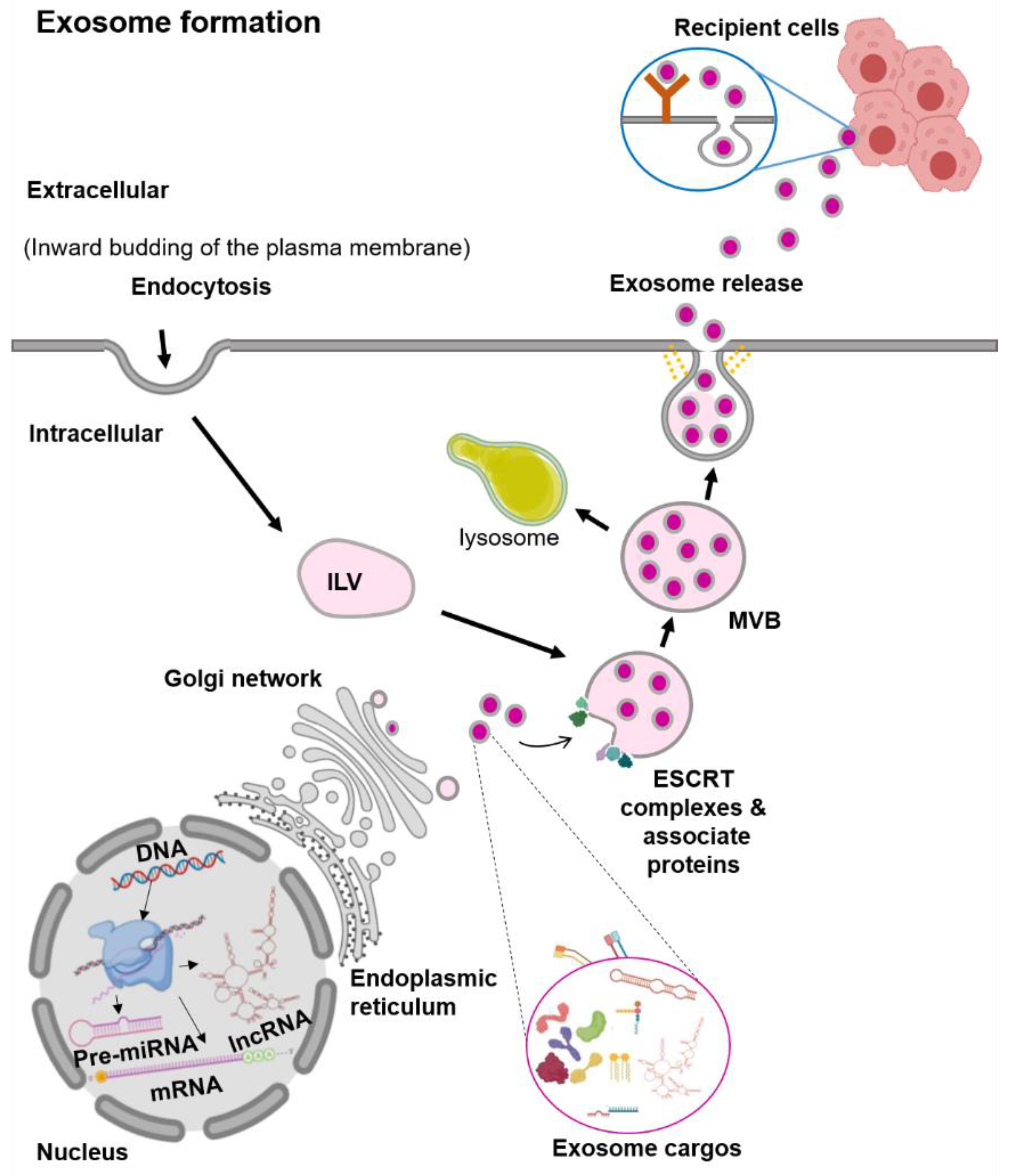 Biomolecules 10 01494 g001