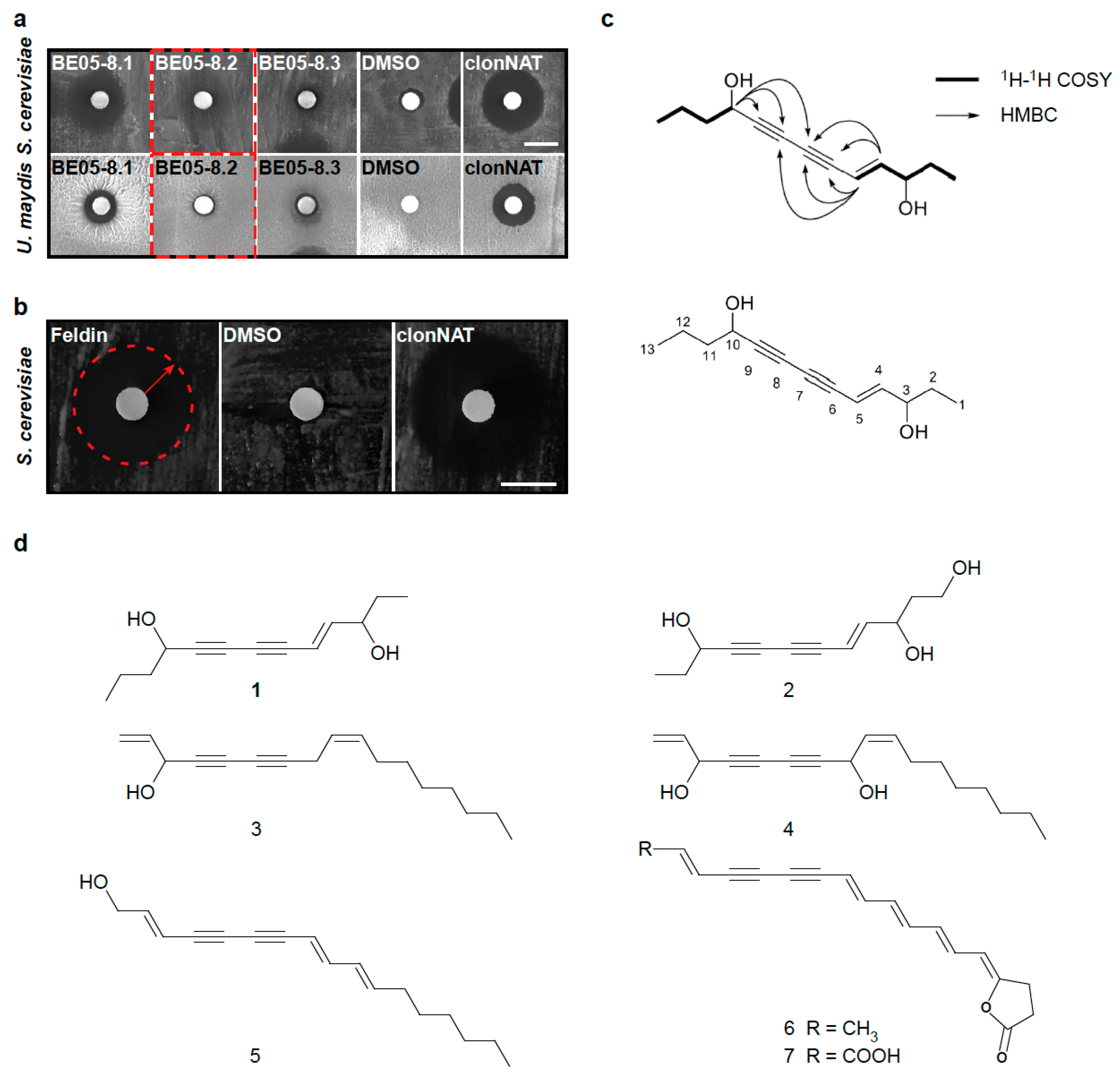Biomolecules 10 01502 g003