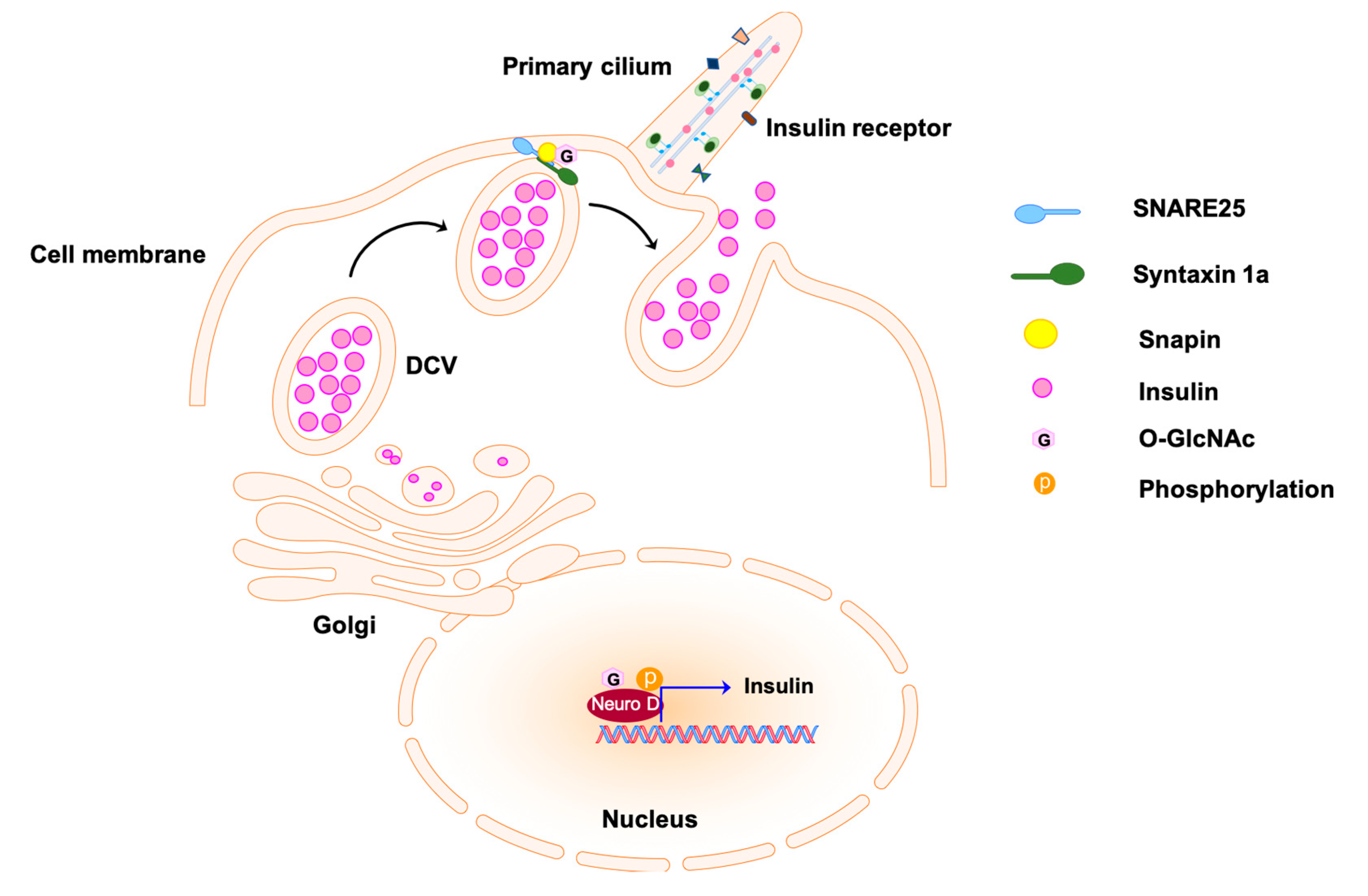 Biomolecules 10 01504 g003