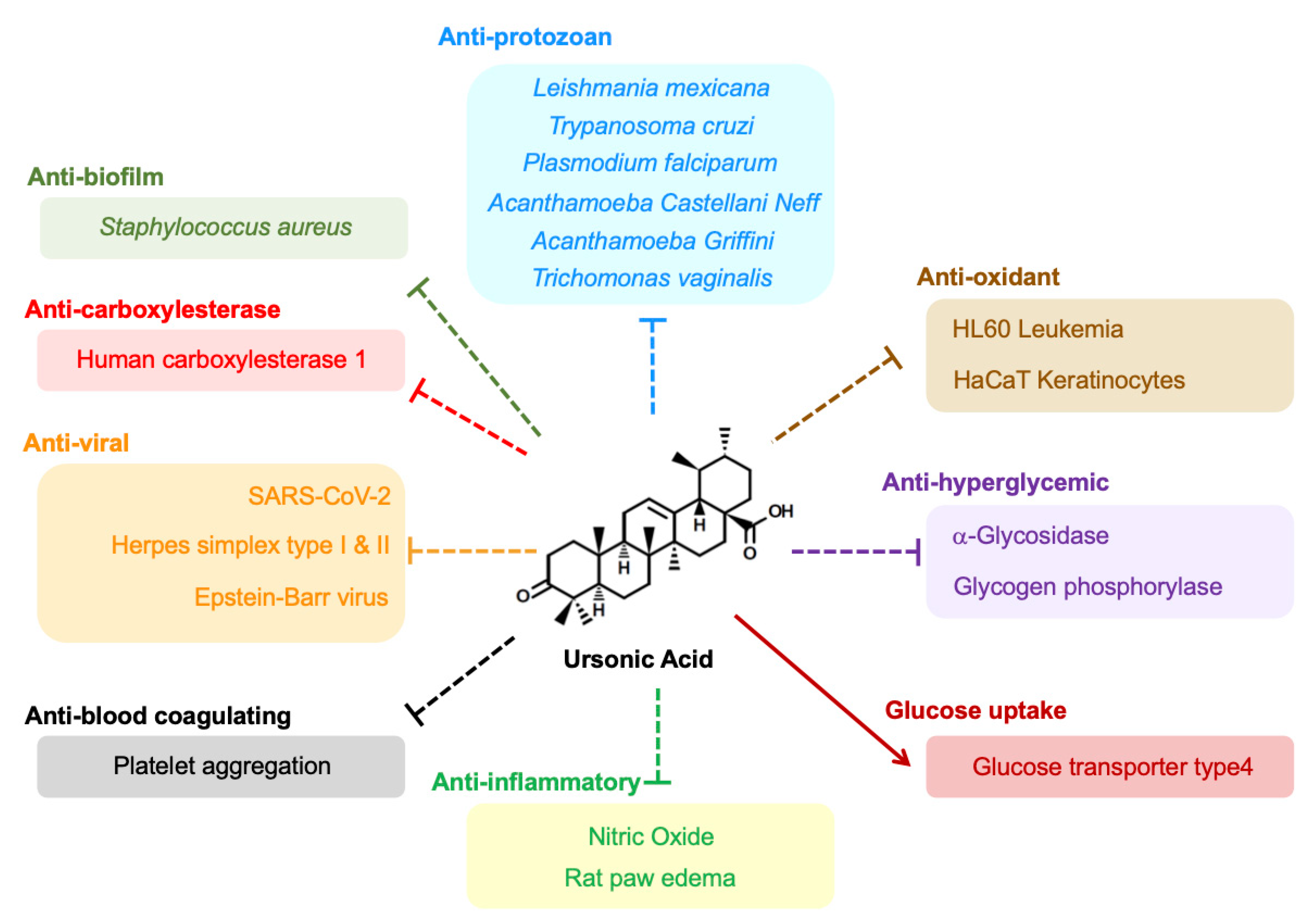 Biomolecules 10 01505 g003 Biomolecules 10 01505 g003