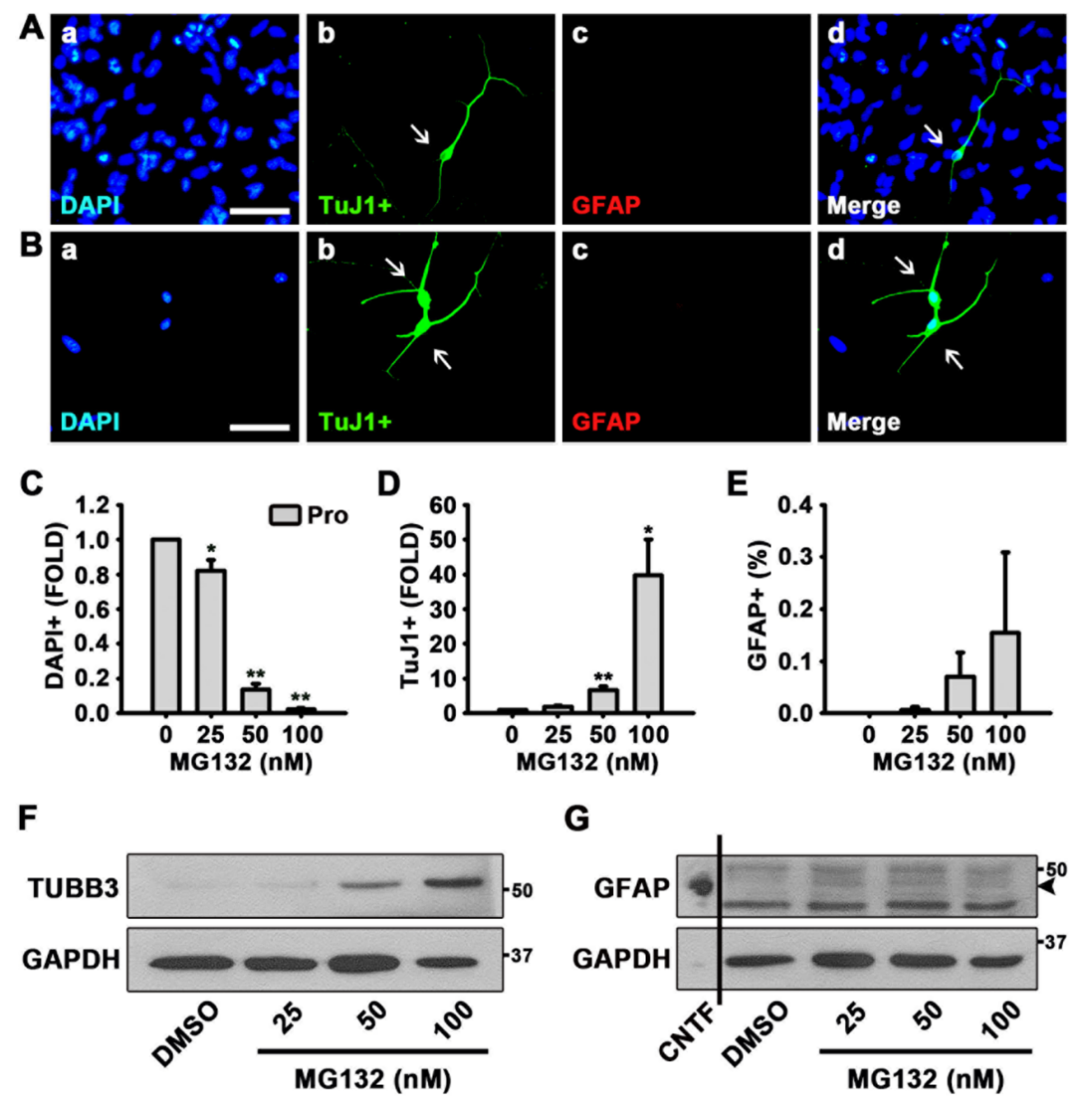 Biomolecules 10 01507 g001