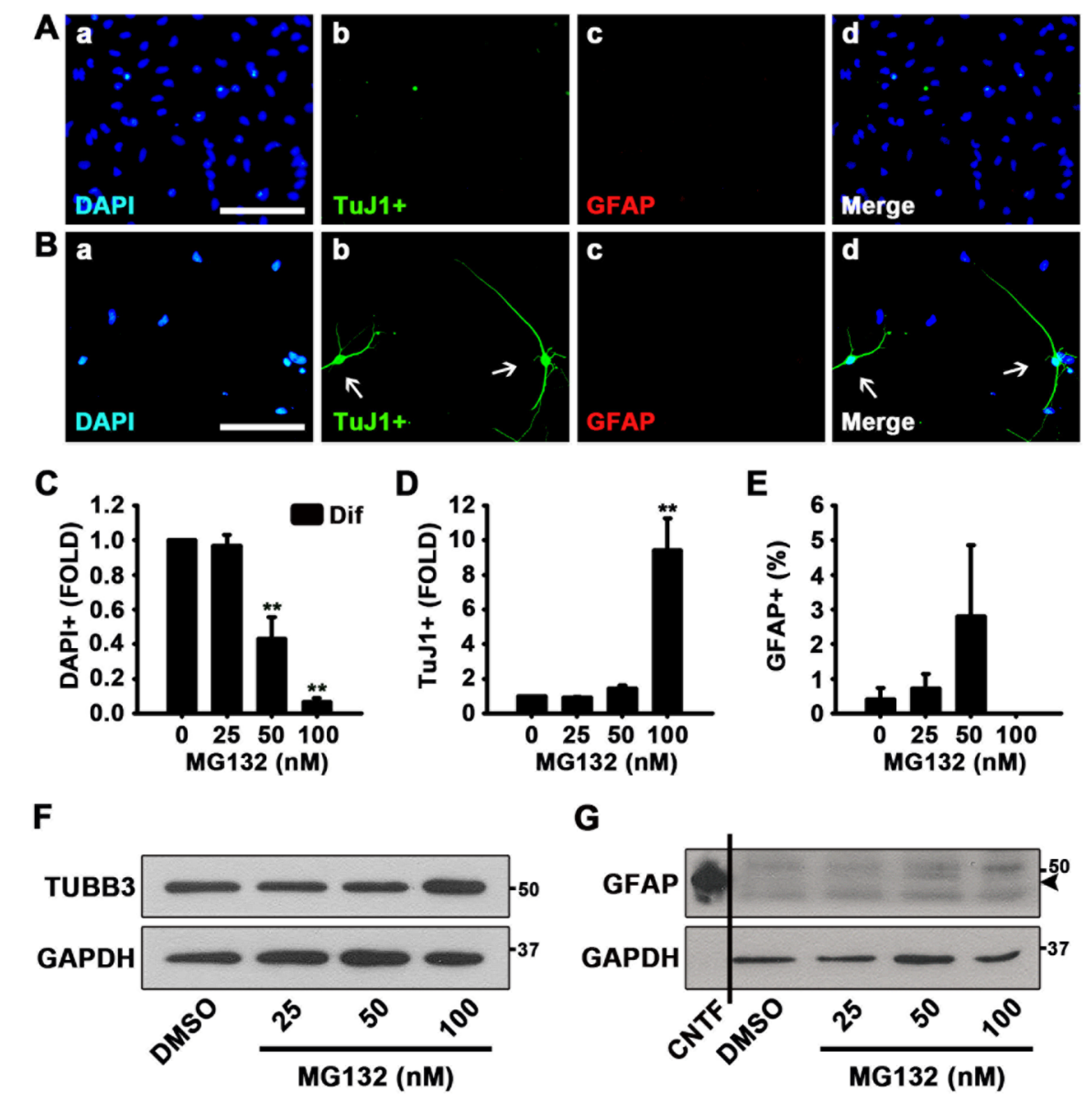 Biomolecules 10 01507 g002